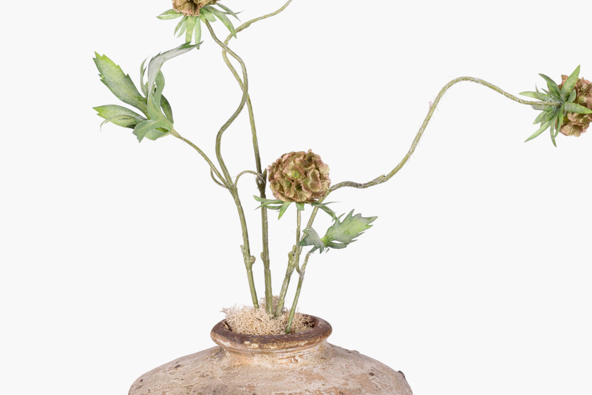 13" Loen Pot with Scabiosa Stem Arrangement AR1993
