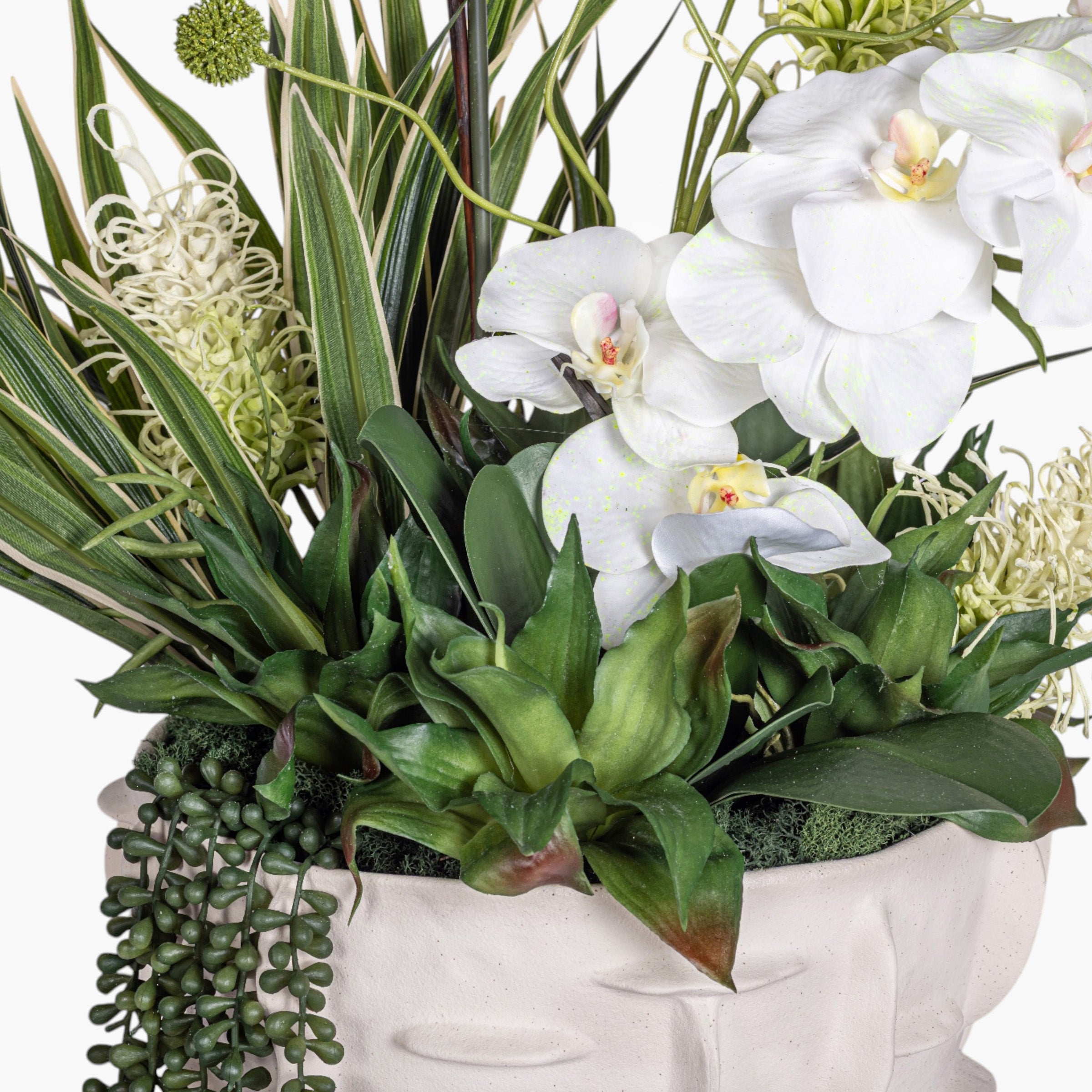 Finnegan Tall Bowl with Mixed Orchid Arrangement AR2000