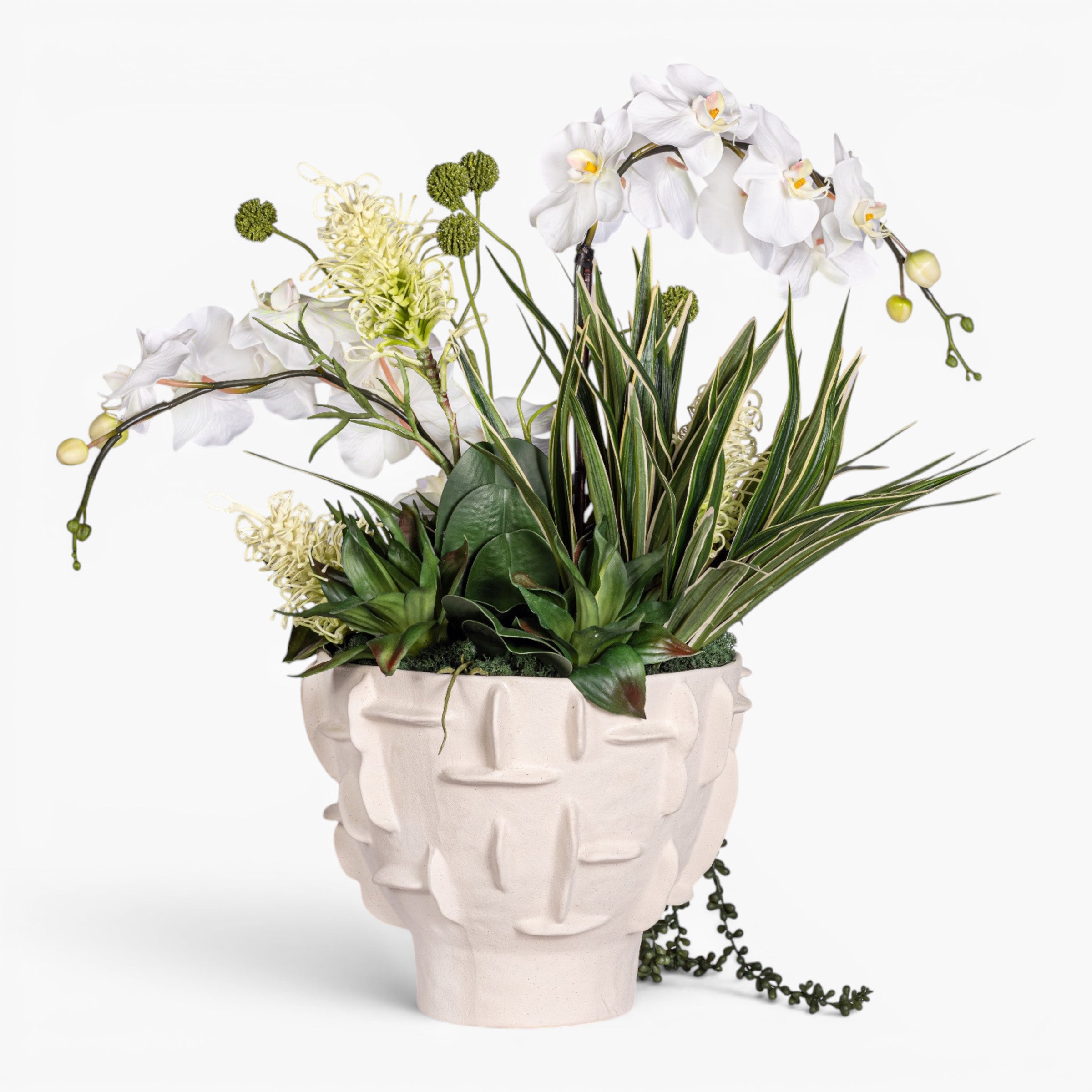 Finnegan Tall Bowl with Mixed Orchid Arrangement AR2000