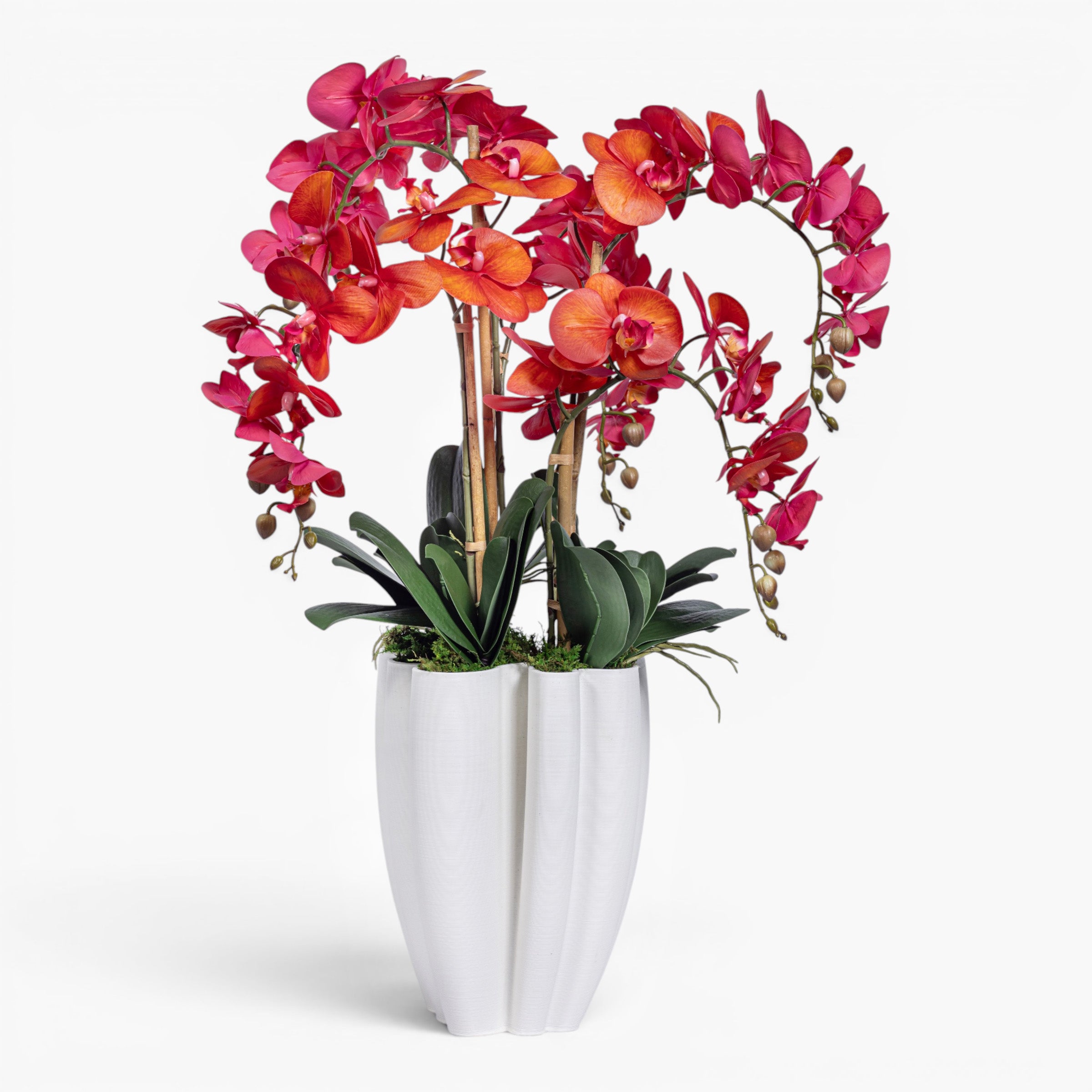 Red Orchid Arrangement in Presely Vase AR2007