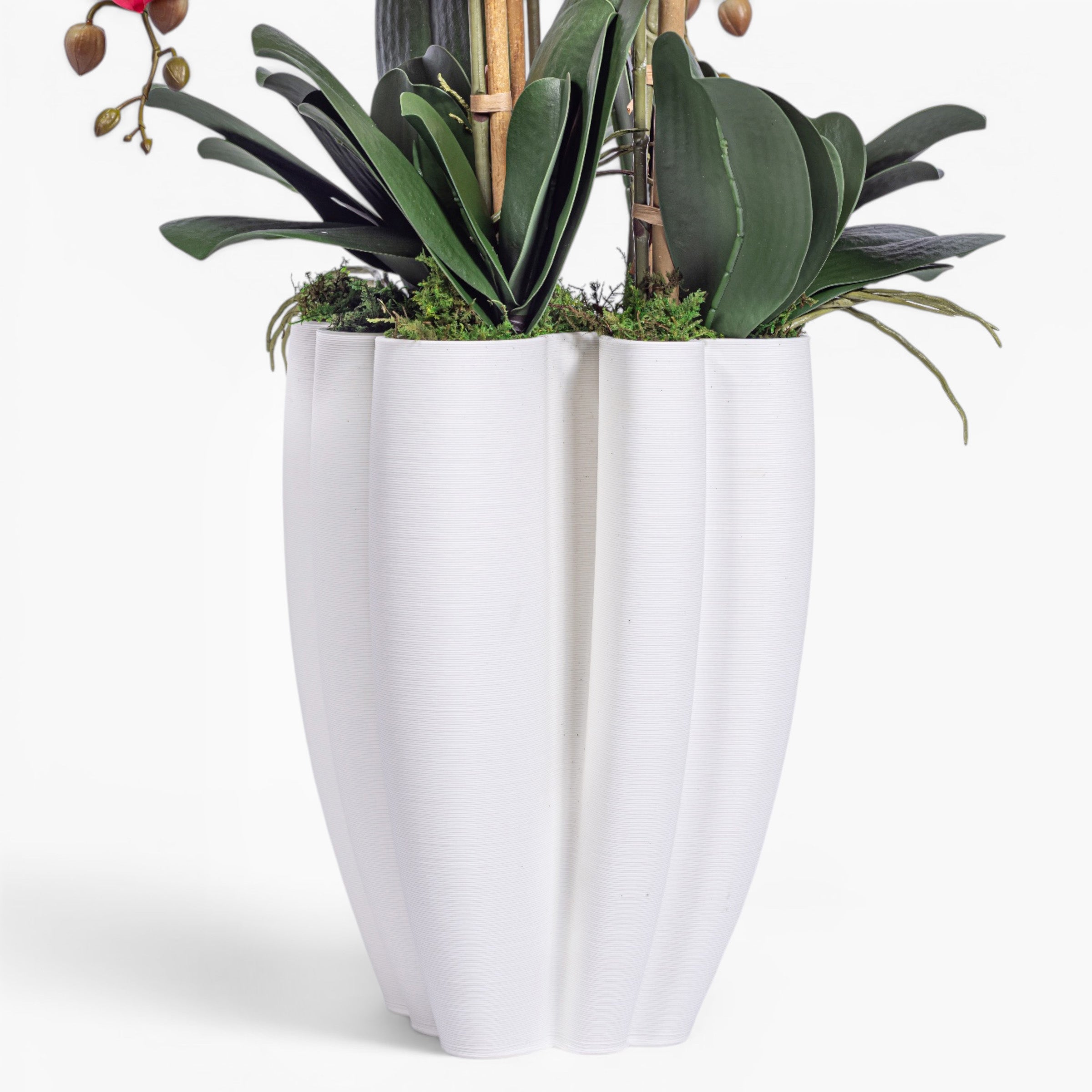 Red Orchid Arrangement in Presely Vase AR2007