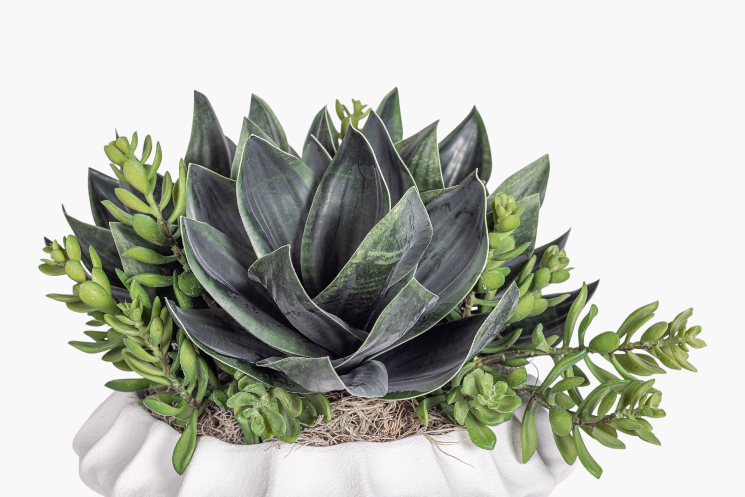 Adelaine Bowl with Succulent Arrangement AR2010