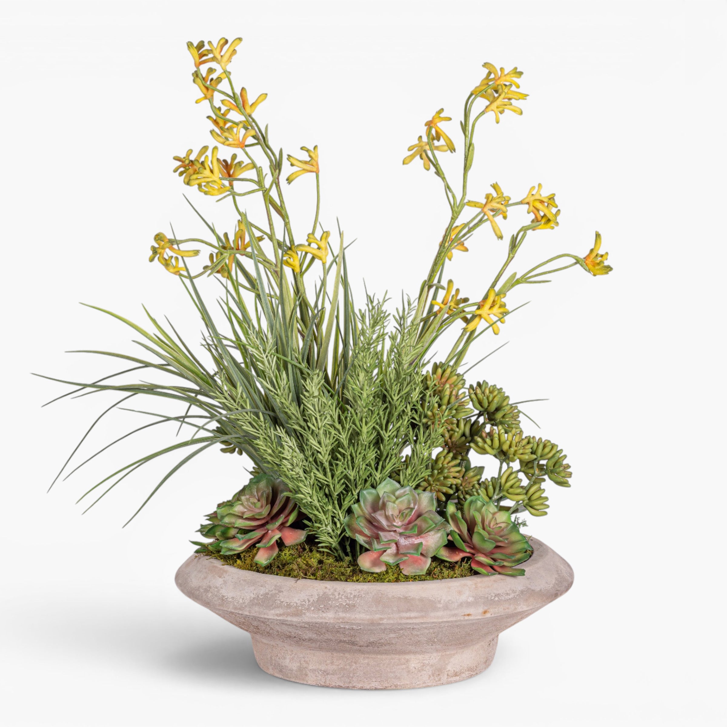 Sayulita Saucer wiht Mixed Arrangement AR2012