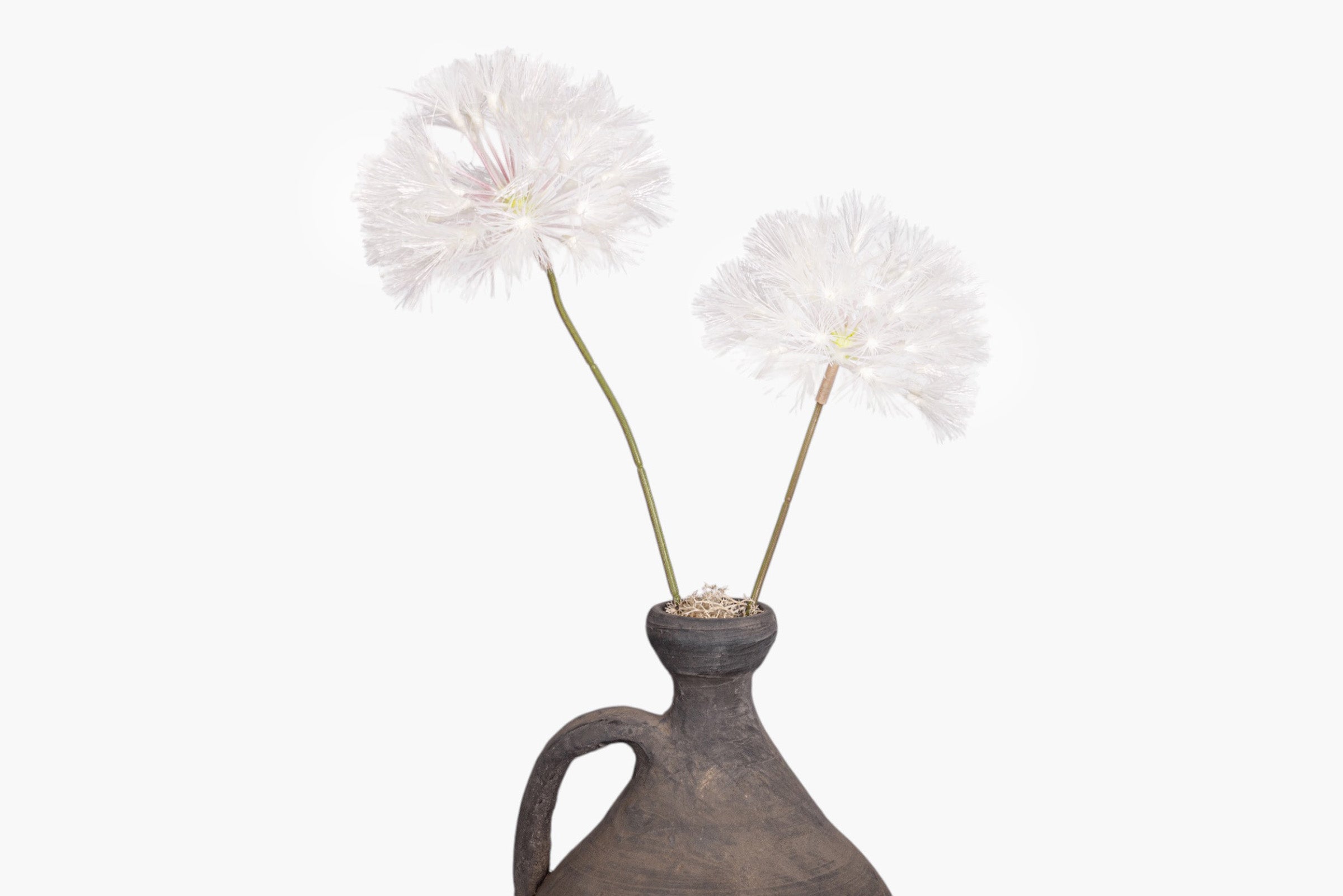 Lucy Vase with Dandelion Arrangement AR2029