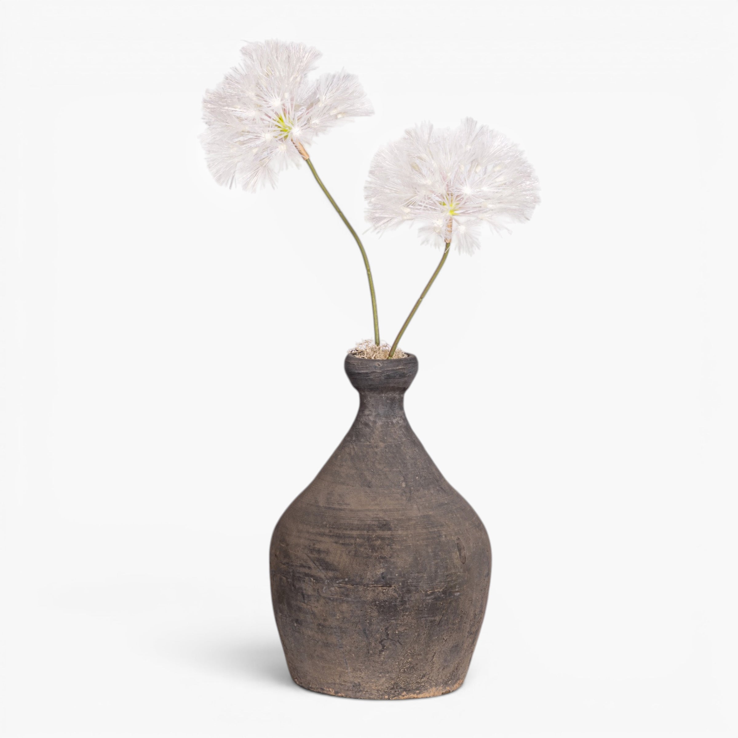 Lucy Vase with Dandelion Arrangement AR2029
