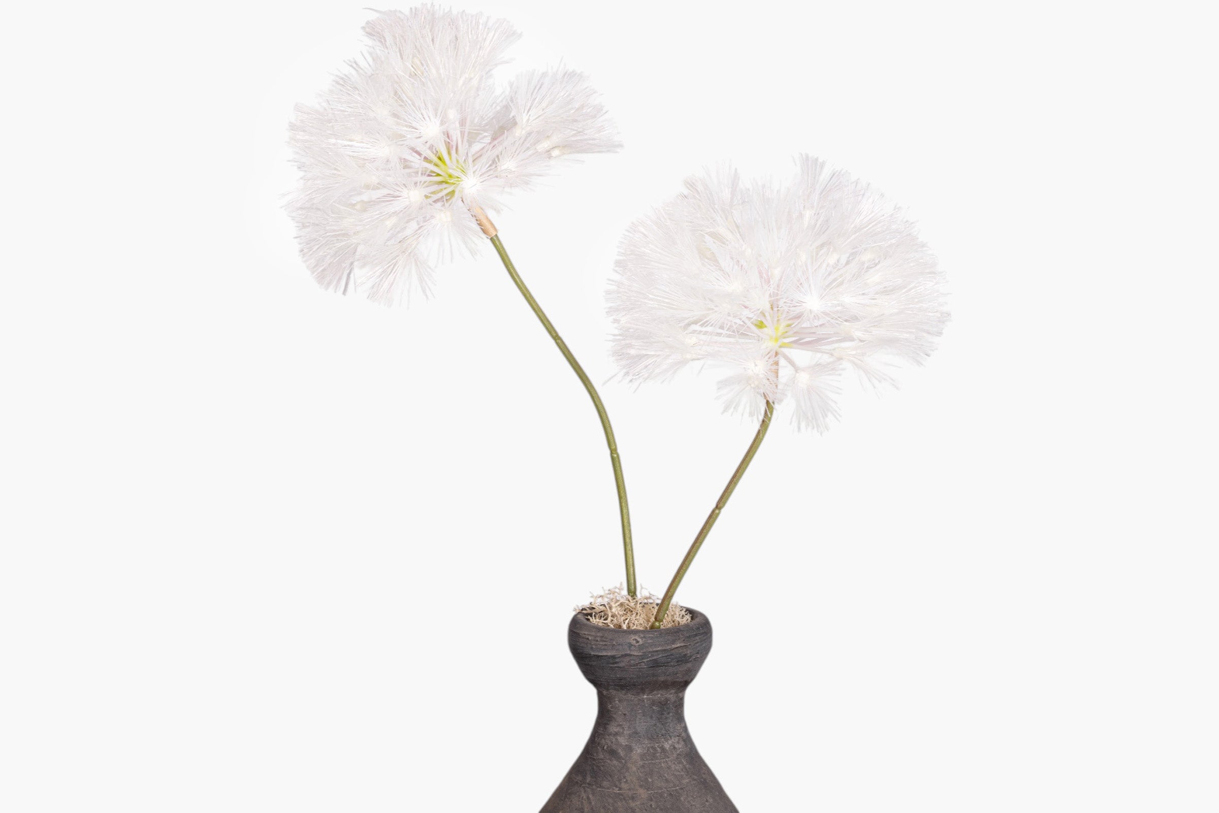 Lucy Vase with Dandelion Arrangement AR2029