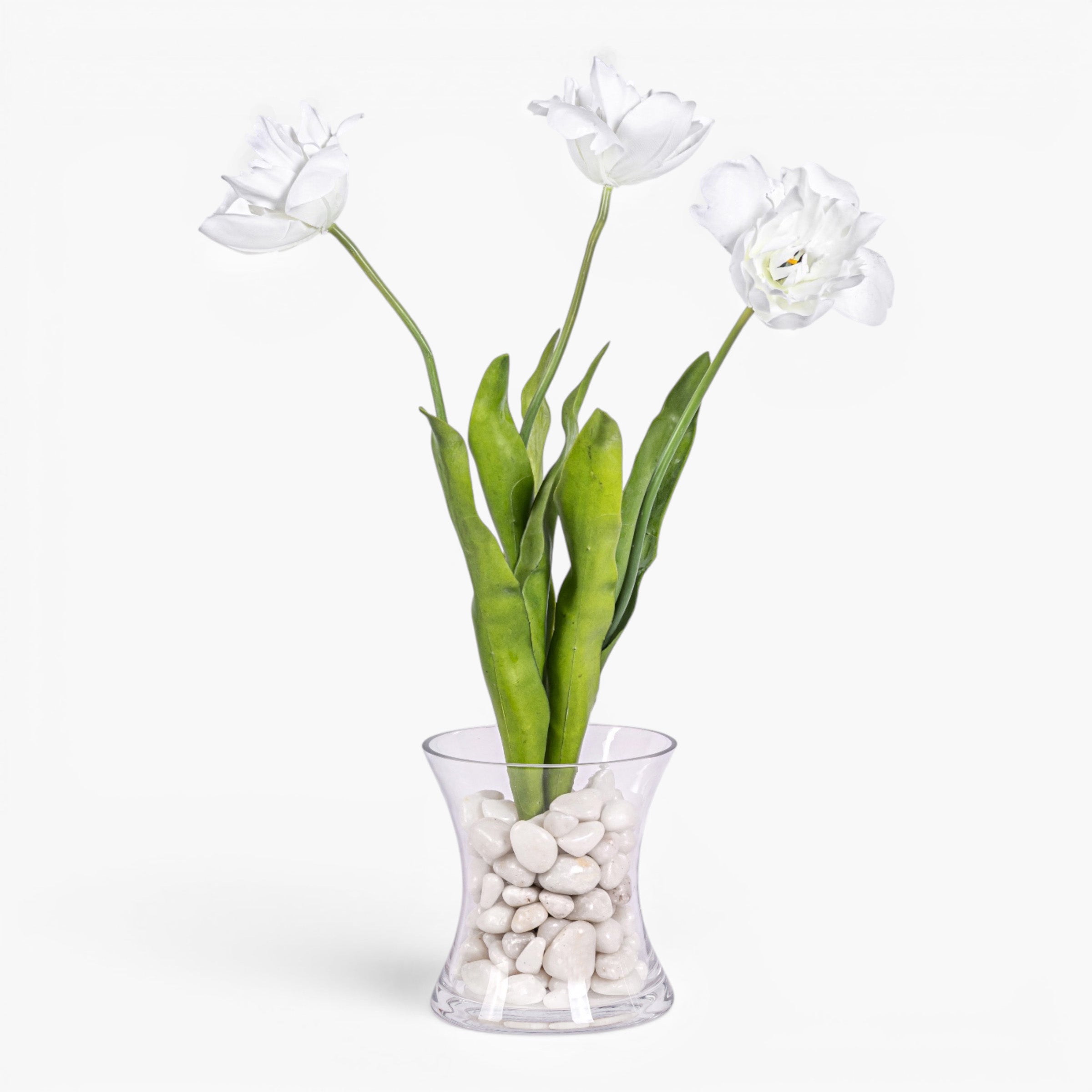Silhoutte Glass with Parrot Tulip Arrangement AR2031