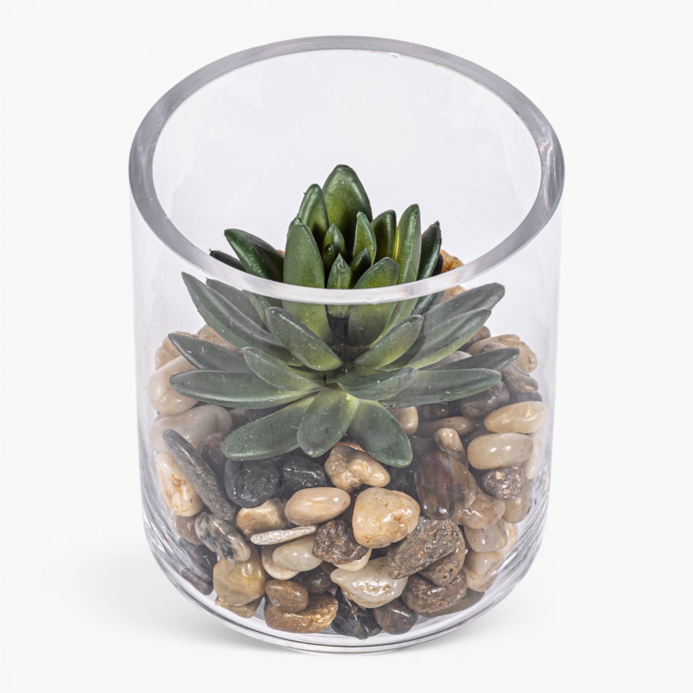 Harbor Vase with Succulent Arrangement AR2034