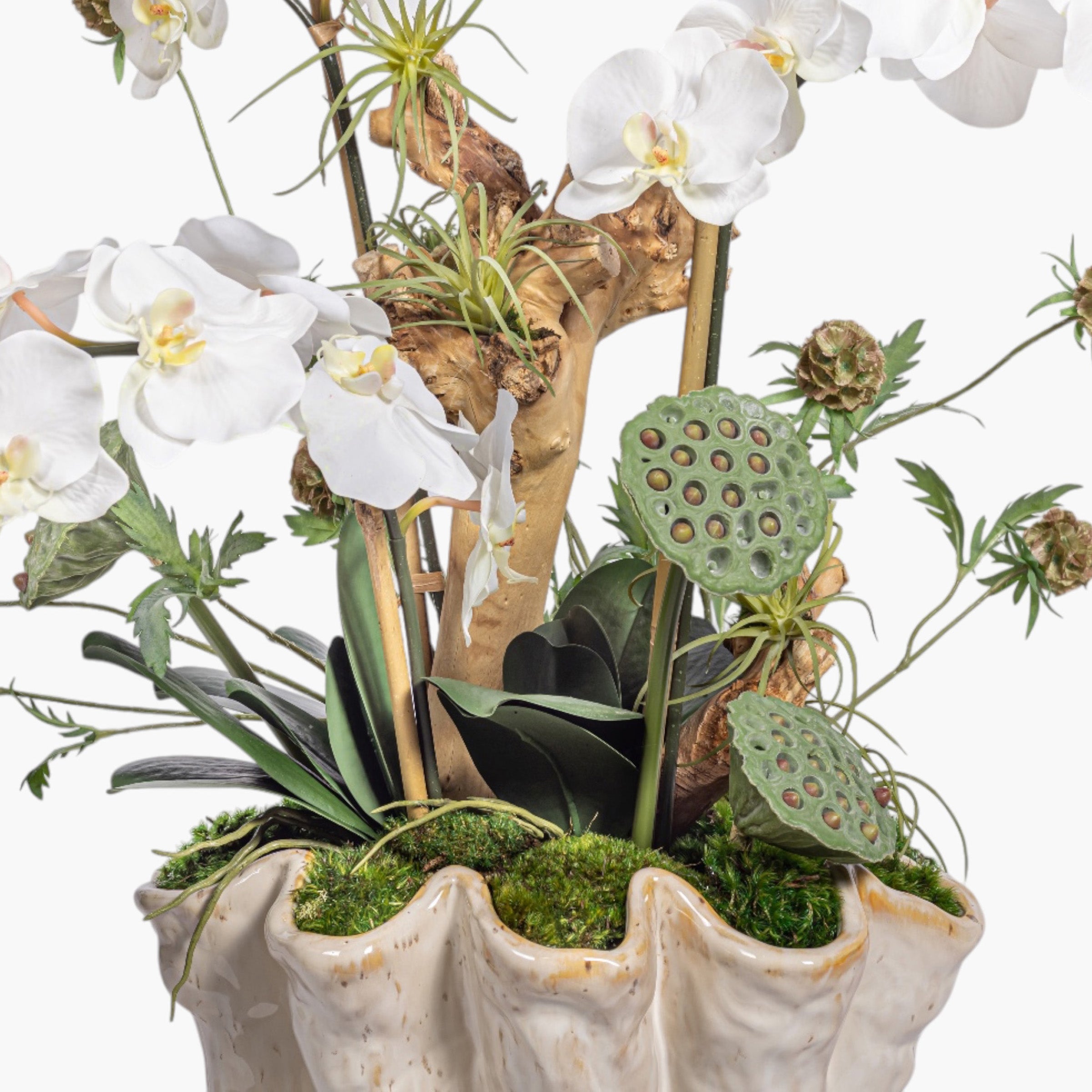 Coral Vase with Orchid Arrangement AR2035
