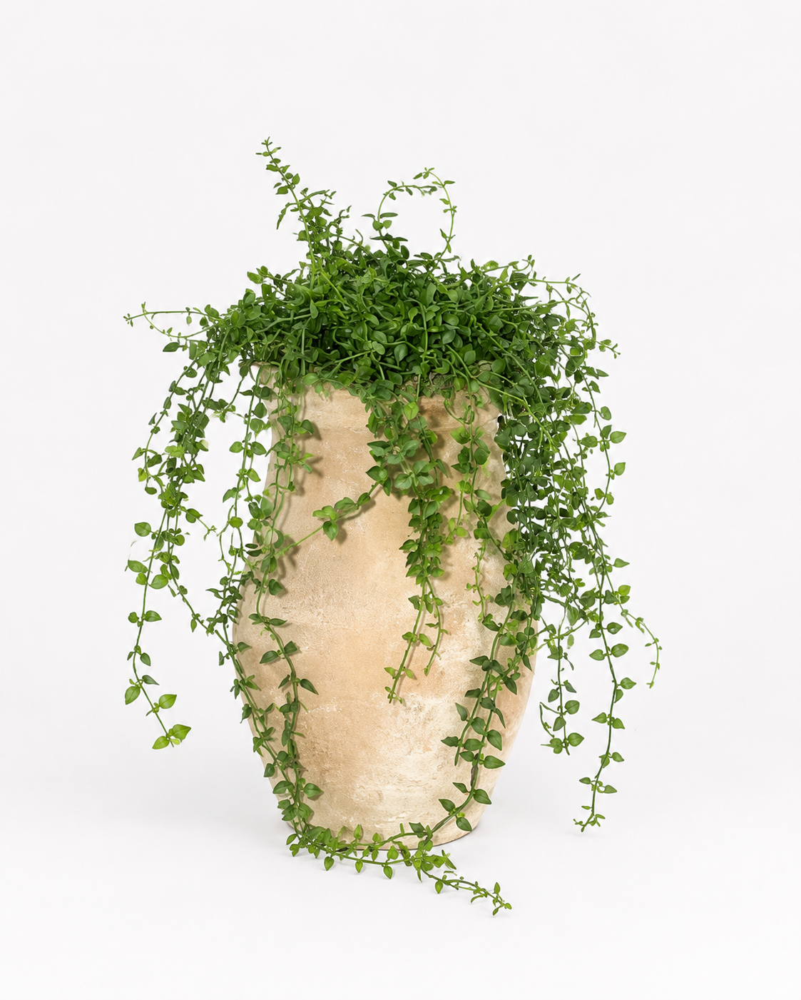 Rue Vase with Turtle Vine Arrangement AR2037