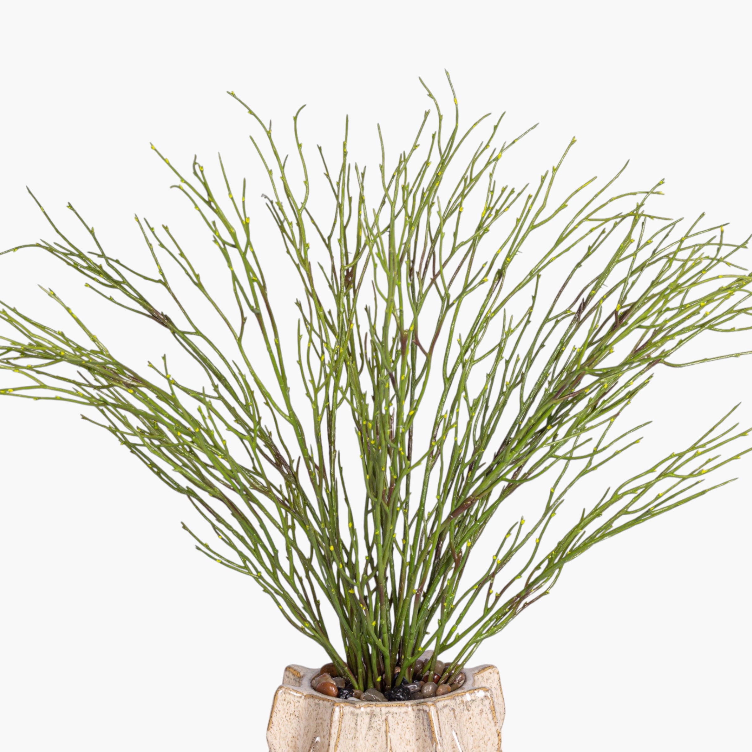 Igor Vase with Grass Arrangement AR2038
