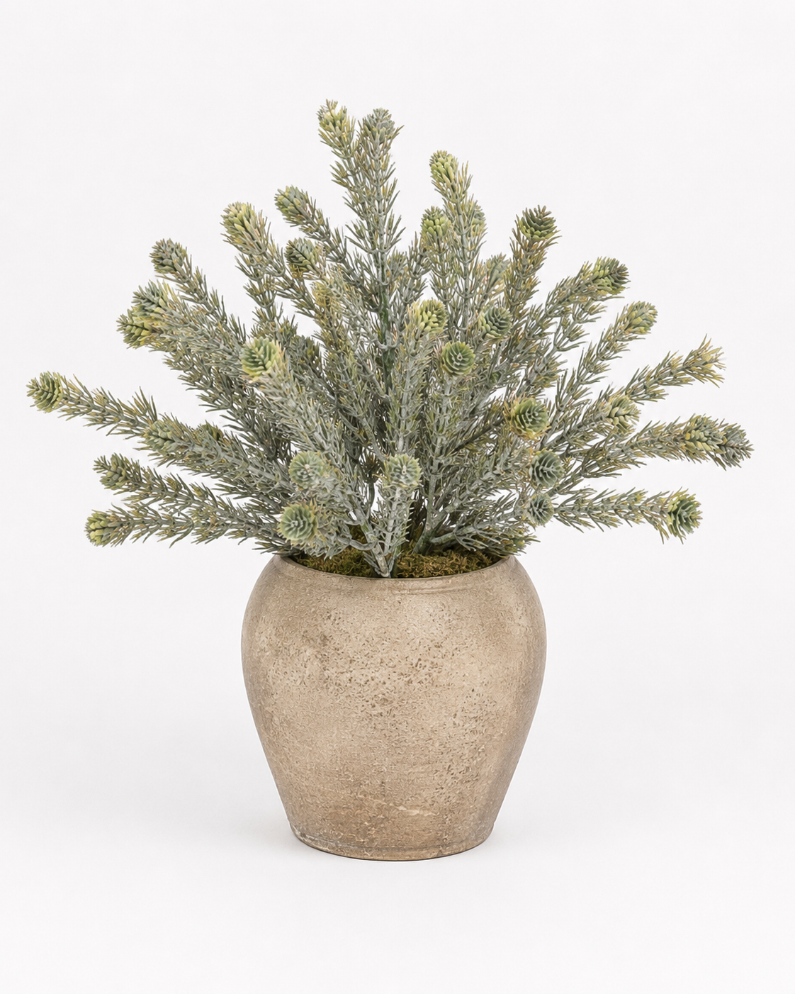 Haley Pot with Fern Bush Arrangement AR2042