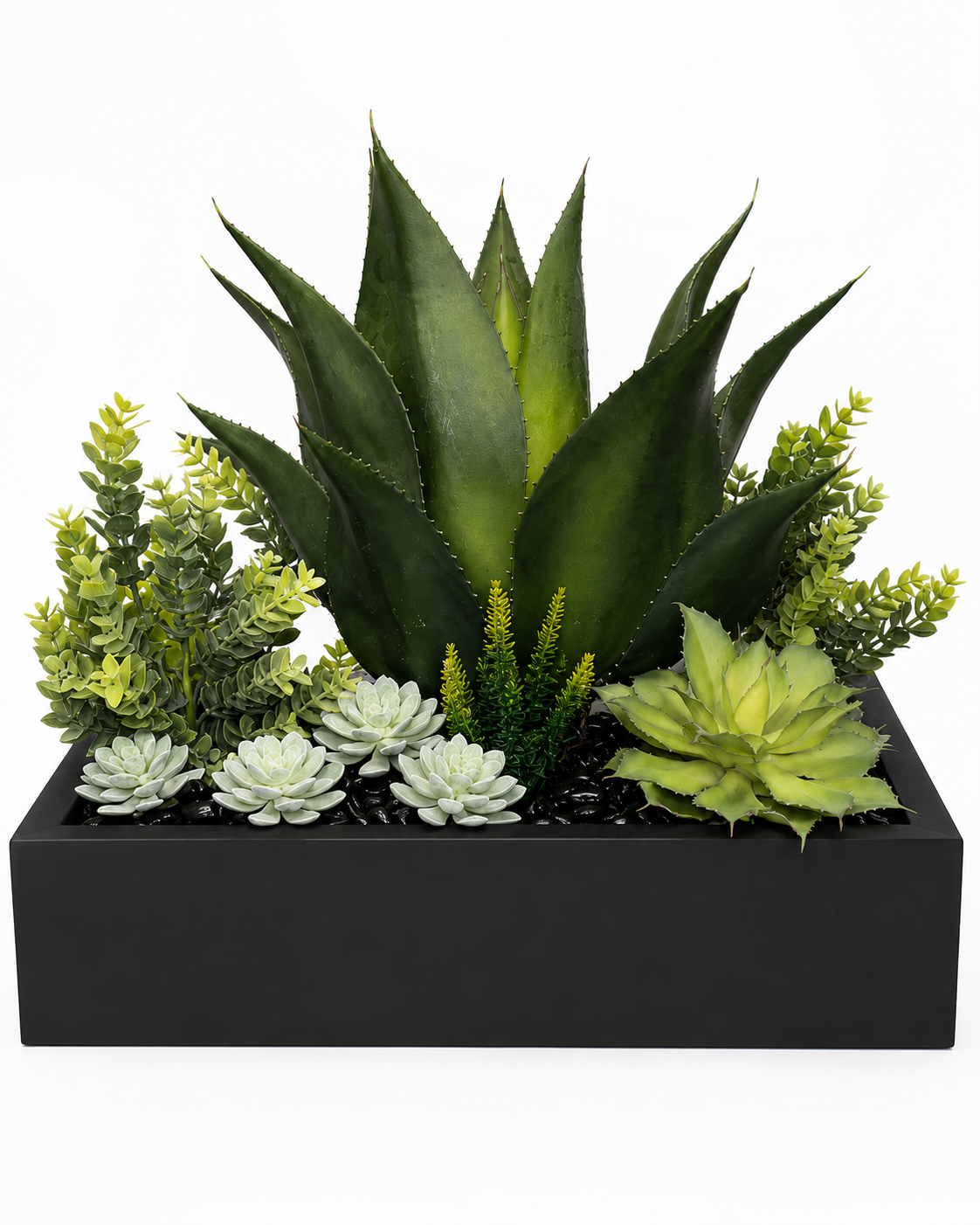 Sebastian Planter with Mixed Succulent Arrangement AR2048