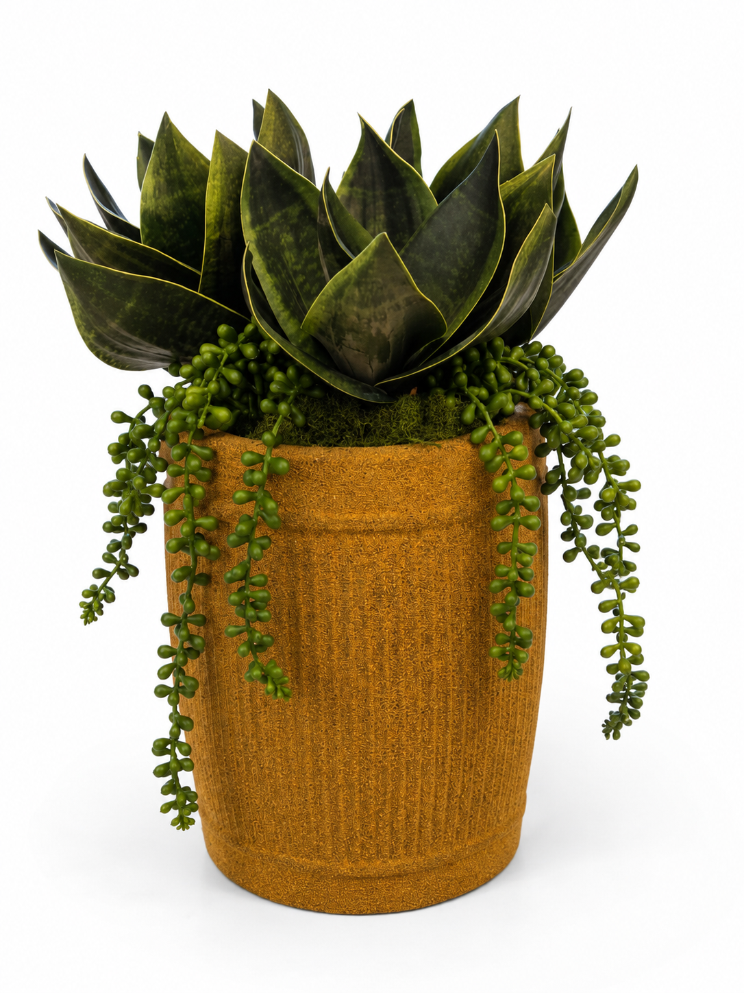 Mesa Planter with Mixed Succulent Arrangement AR2051