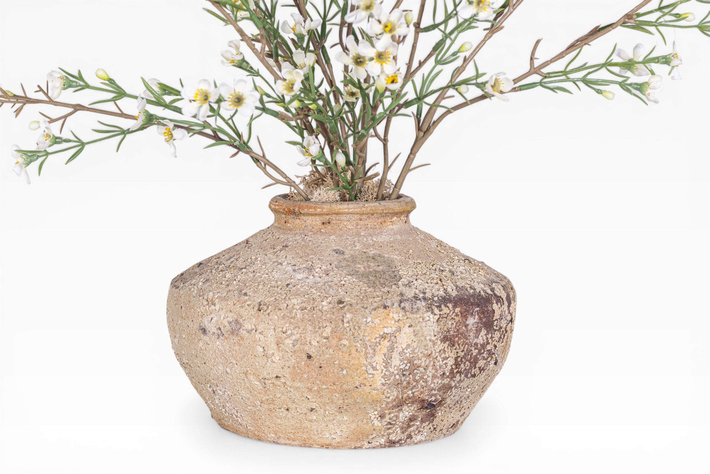 5" Loen Pot with Myrtle Flower Blossom Arrangement