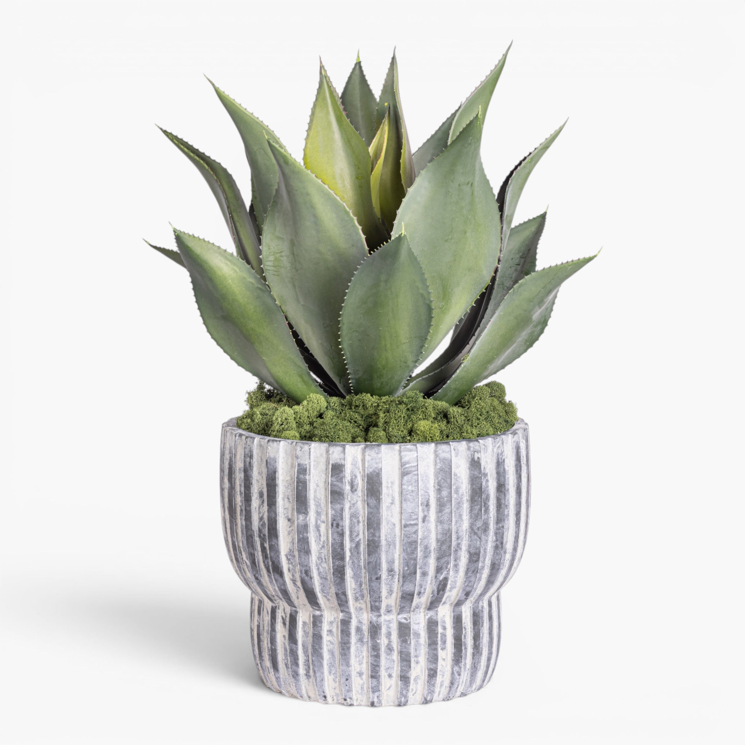 Bobby Planter with Agave Stem Arrangement AR2036