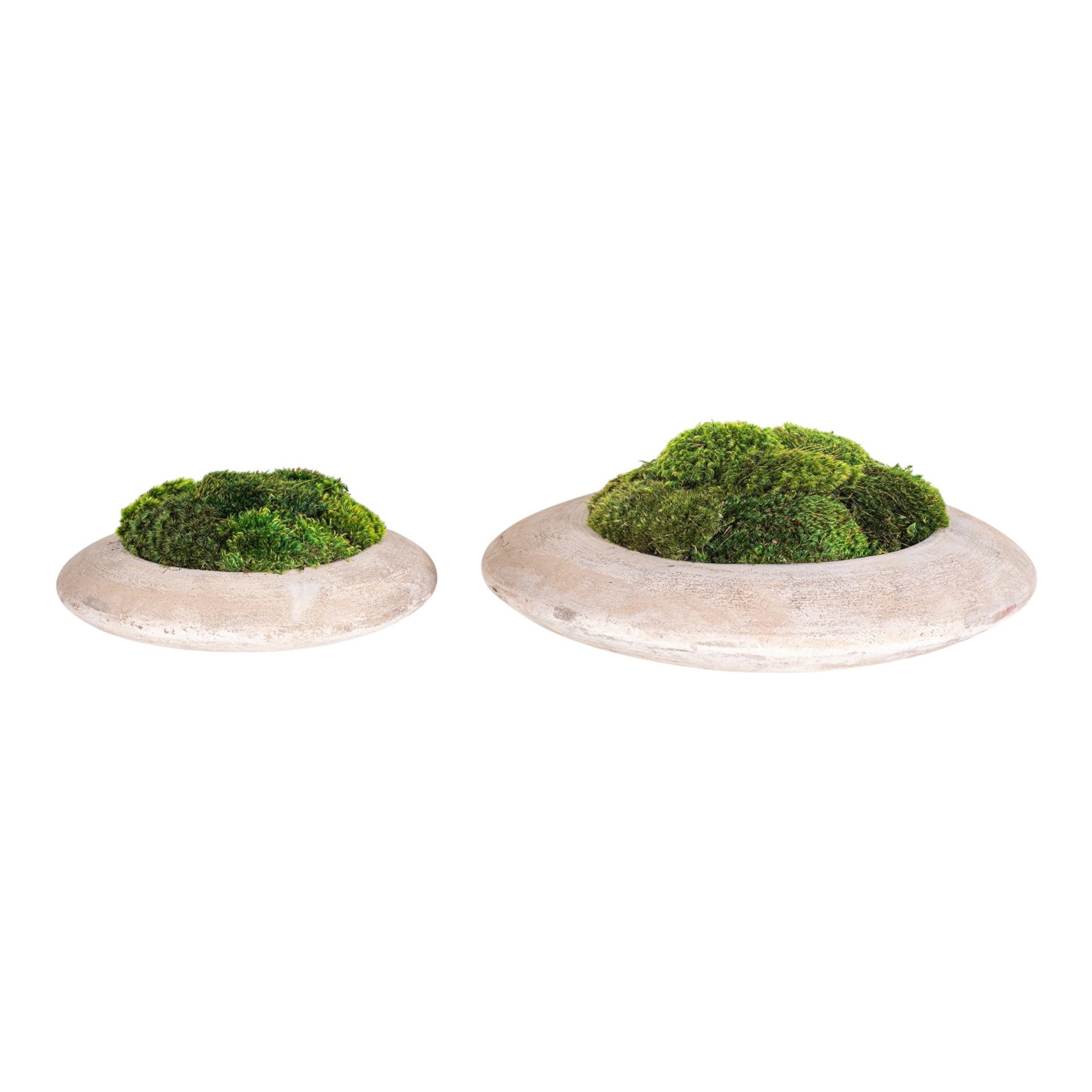 14" Flying Saucer with Mood Moss AR1181