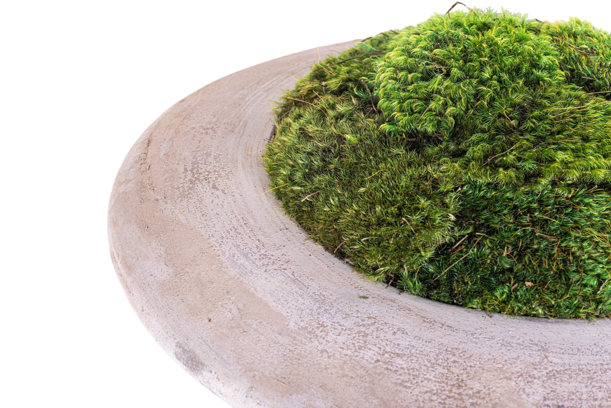20" Flying Saucer with Mood Moss AR1179