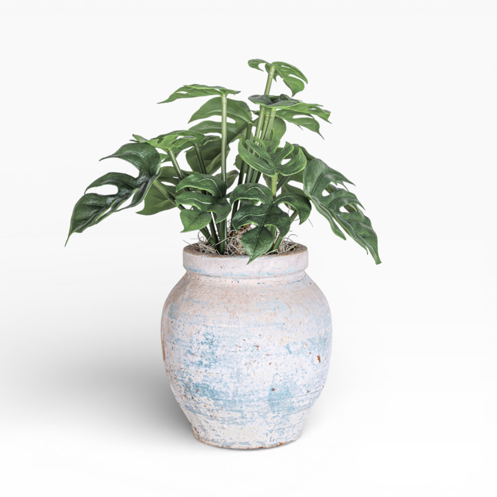 Lyric Pot with Monstera Arrangement AR1376