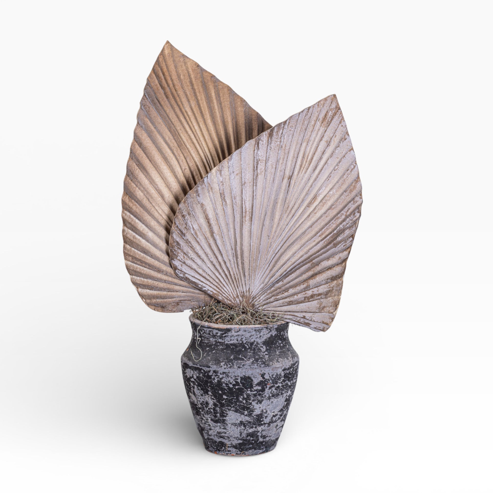 8" Titan Pot with Palm Frond Arrangement AR1365