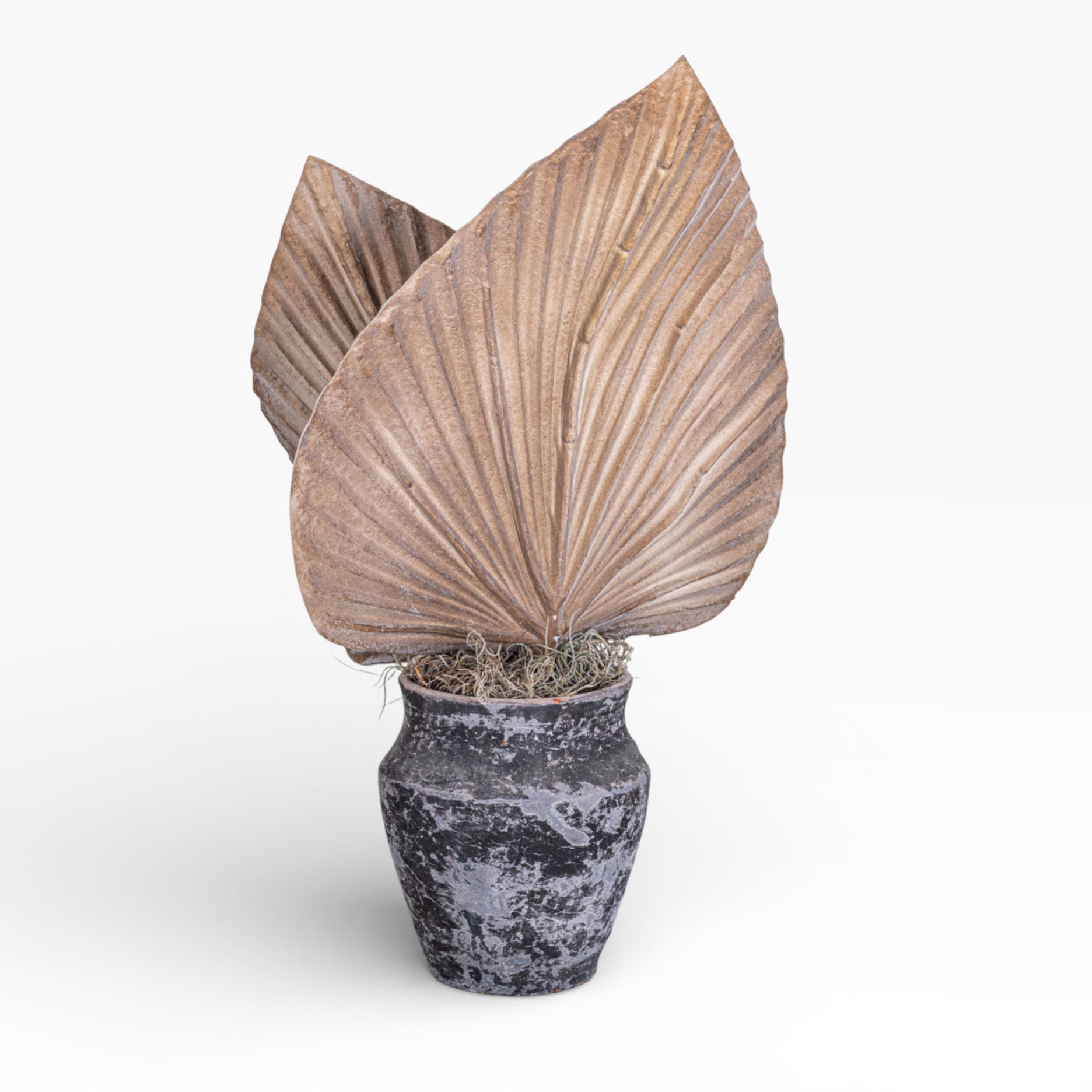 8" Titan Pot with Palm Frond Arrangement AR1365