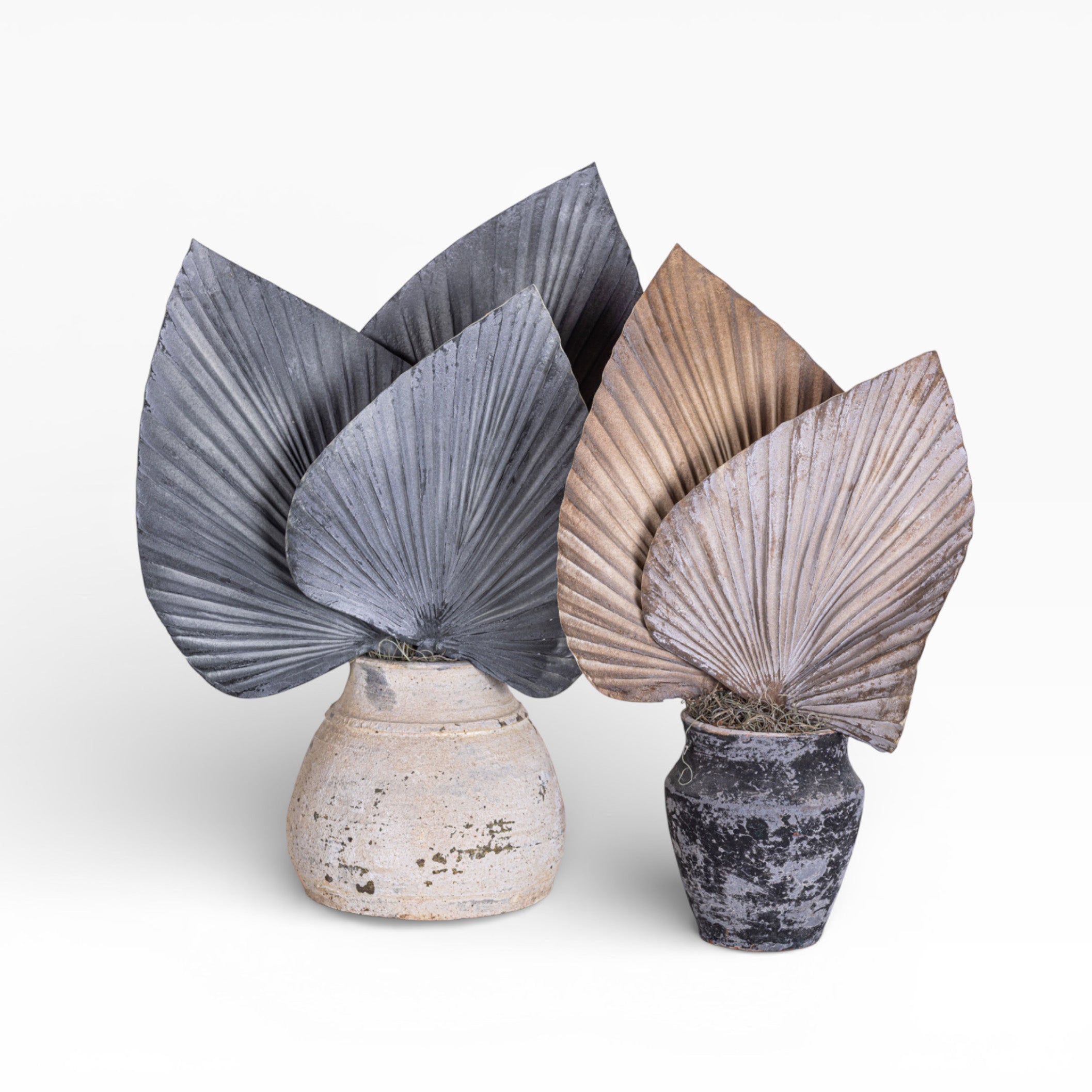 Aster Pot with Palm Frond Arrangement AR1371