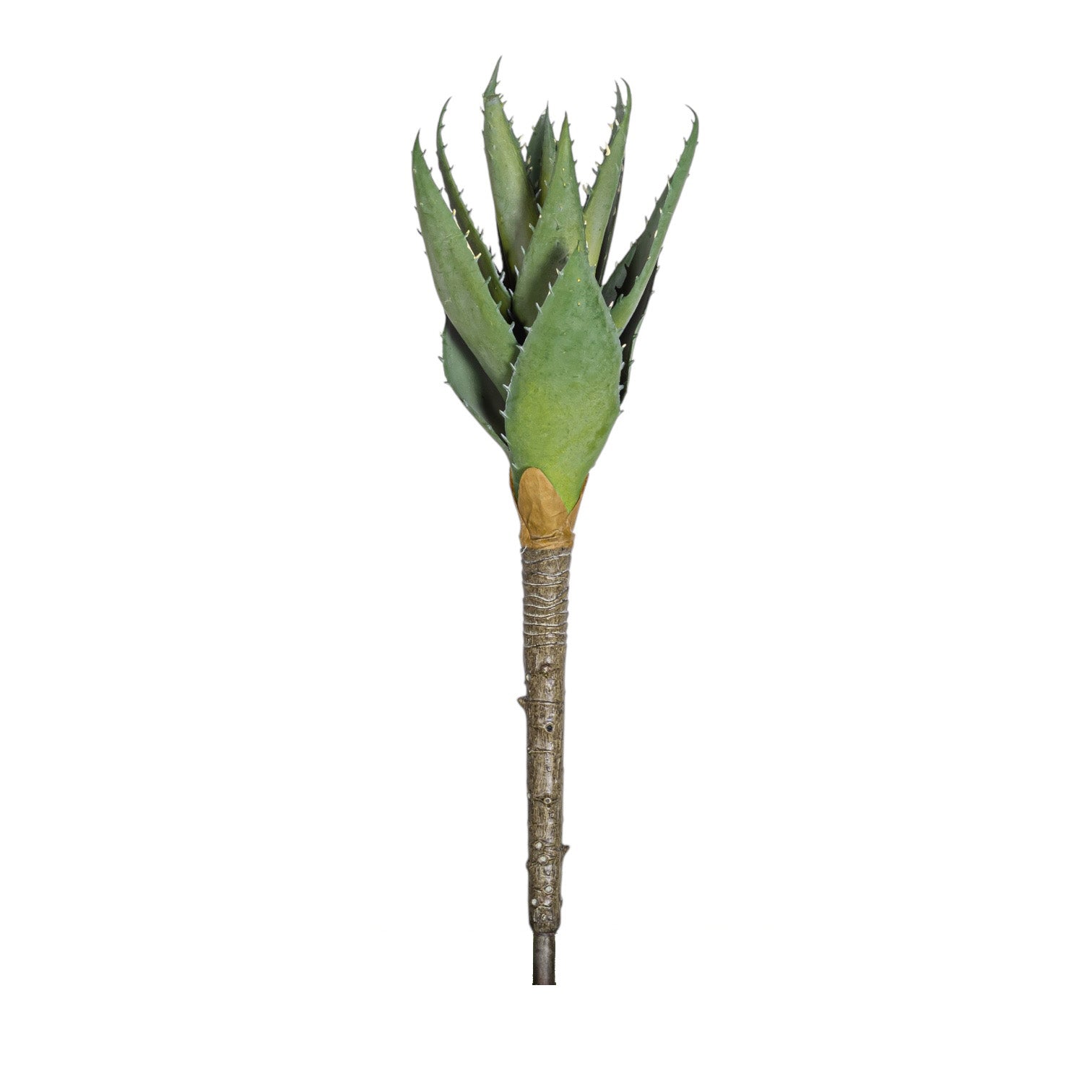 13.5" Aloe Stem AV1037