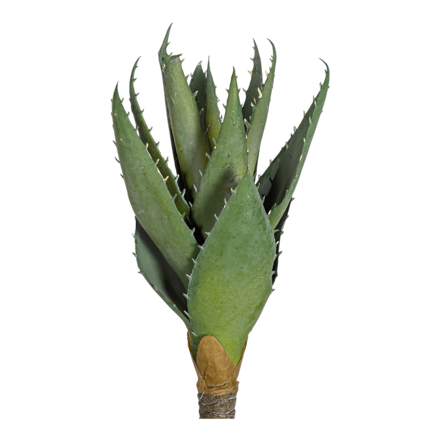 13.5" Aloe Stem AV1037