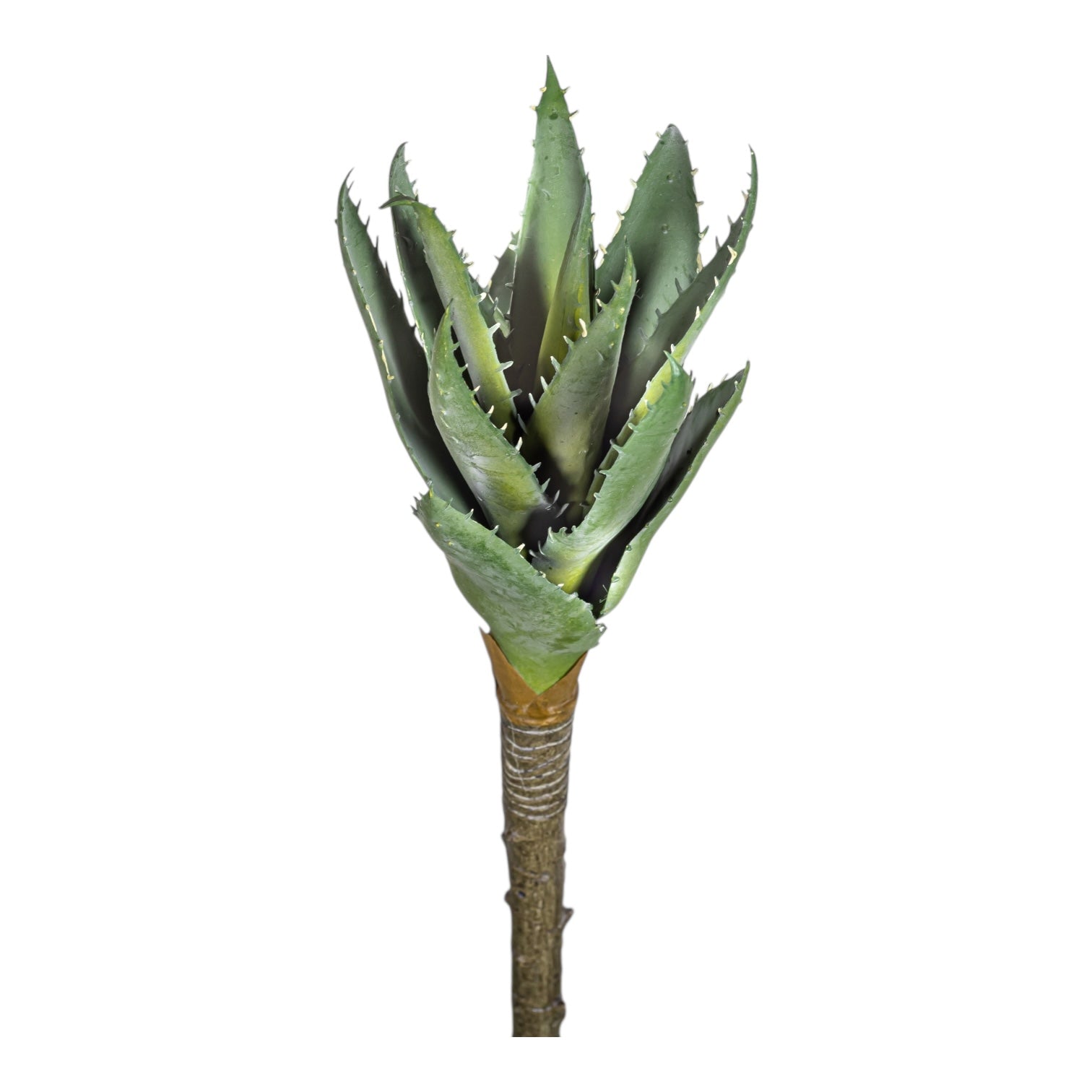 13.5" Aloe Stem AV1037