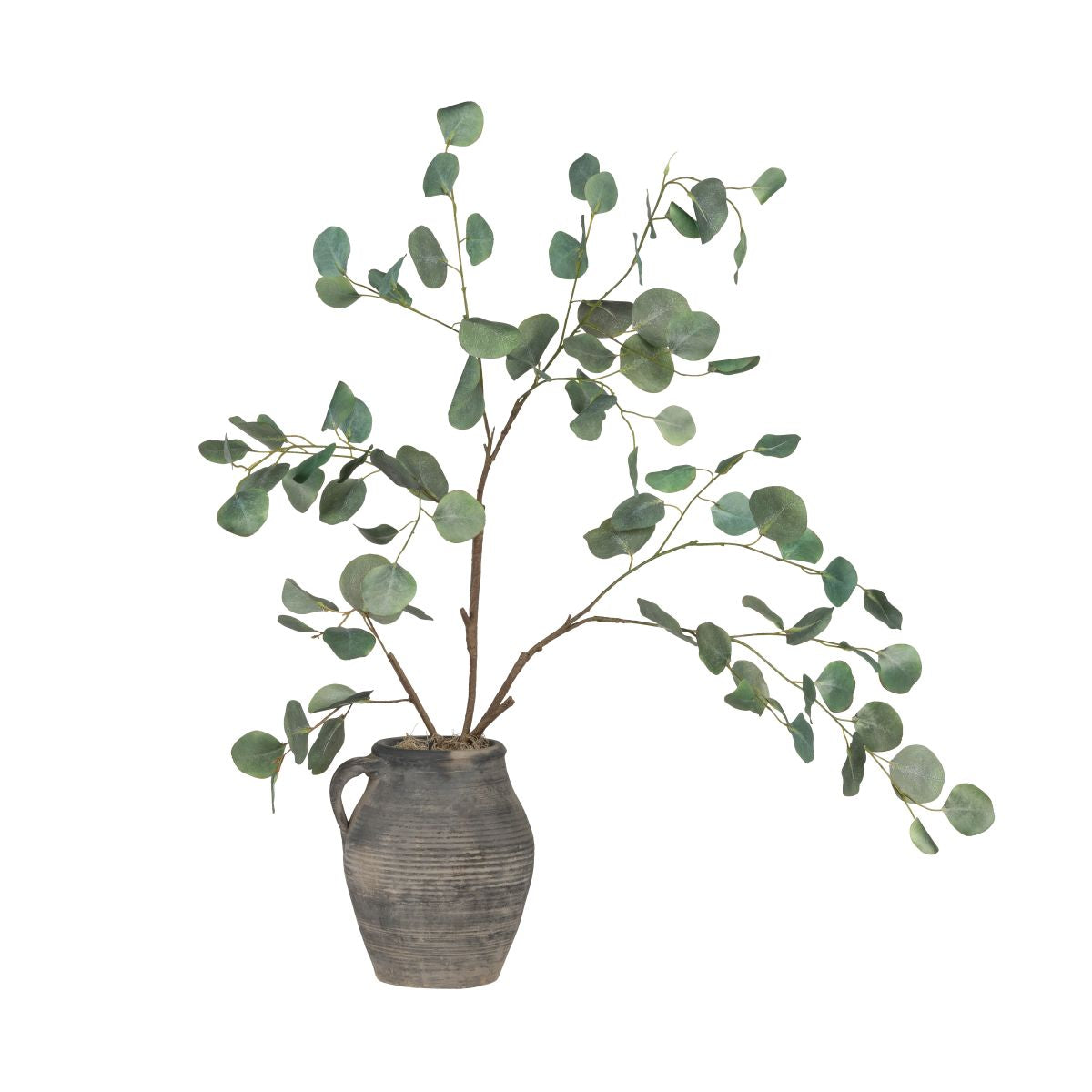 10" Cleo Jug with Eucalyptus Branch AR1846