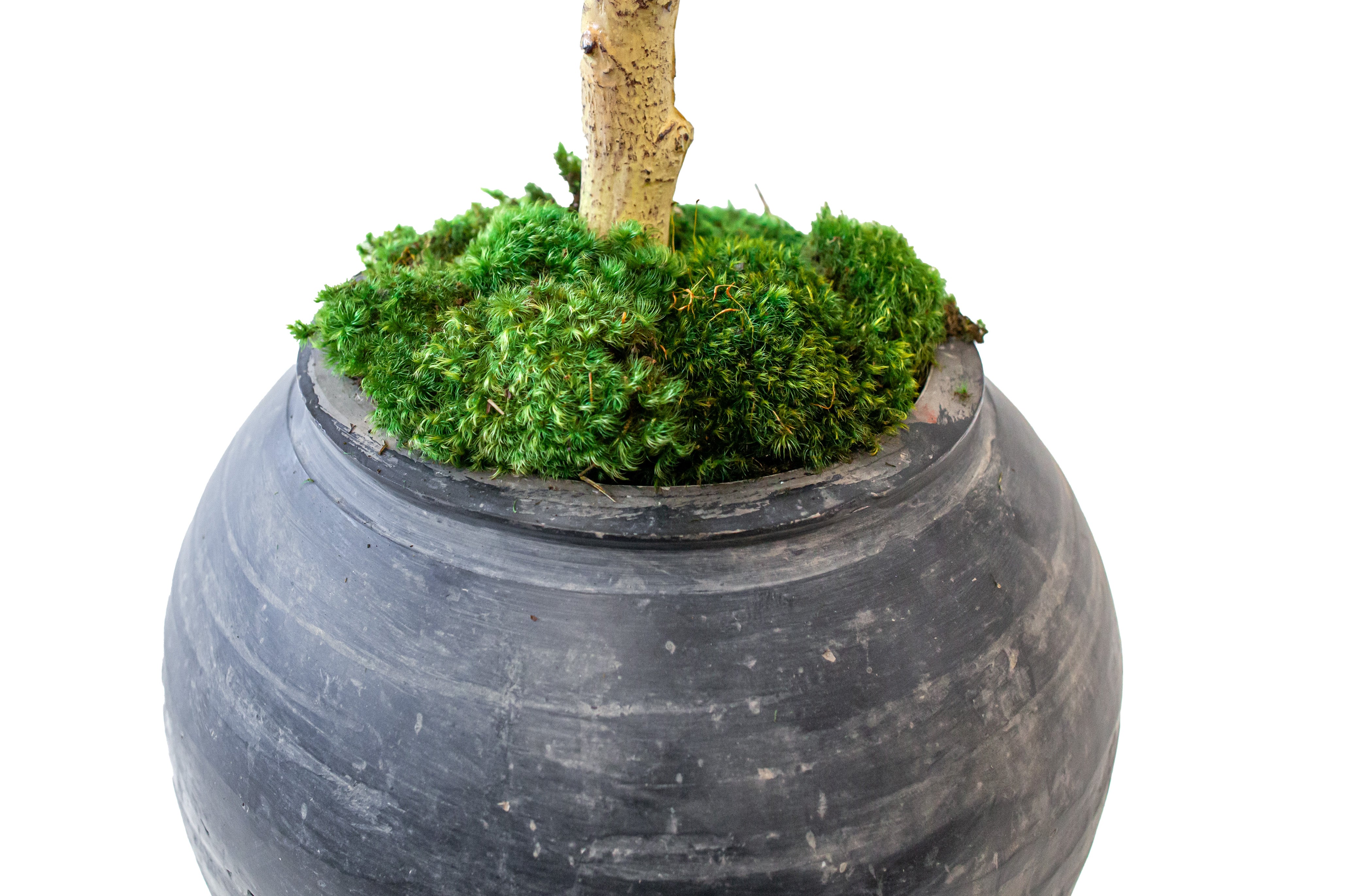 “Basketizing” - Foam with Rock or Moss Covering - 21"-28"H