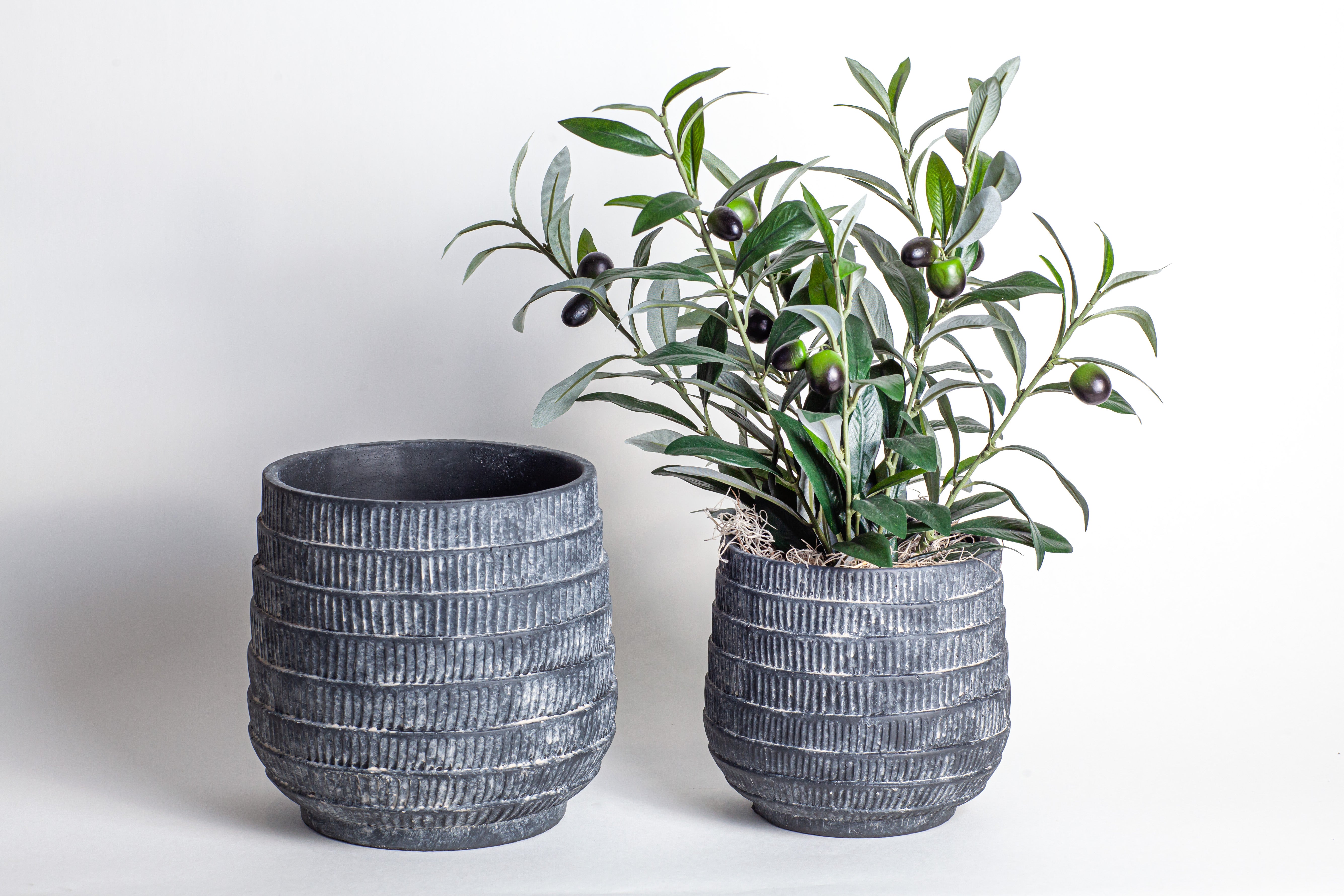 Zilla Pot    CN1049