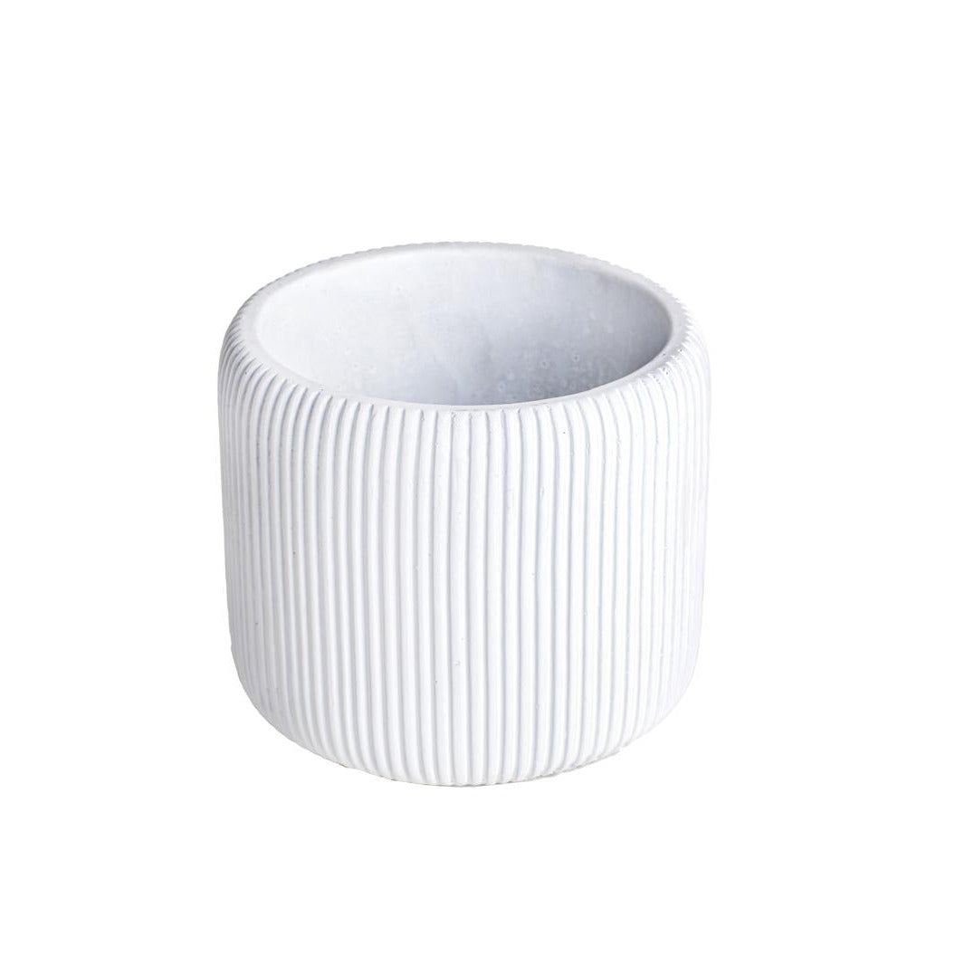 Lola Pot   CN1353