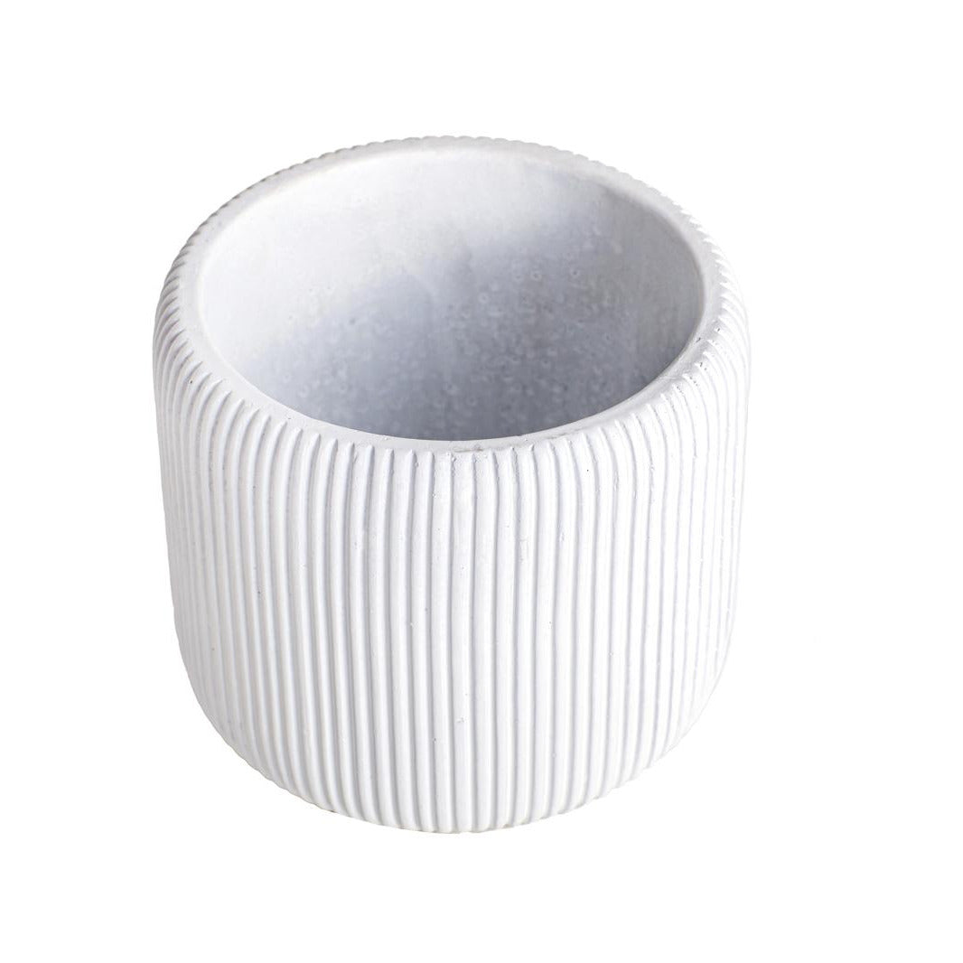 Lola Pot   CN1353