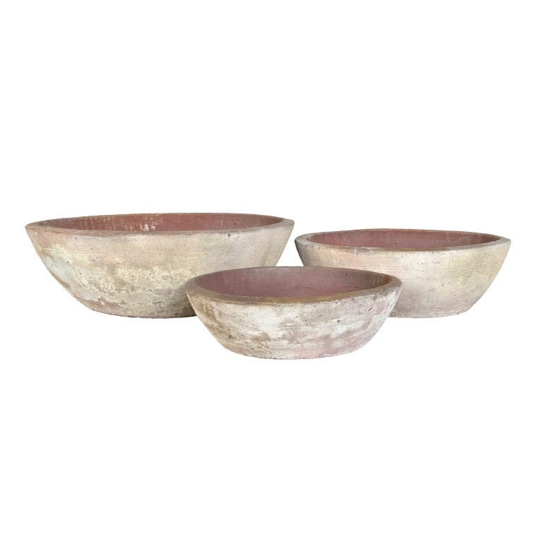 7' Queensland Bottle Tree in Terracotta Bowl with Sand and Rock PC1436CN1444MD