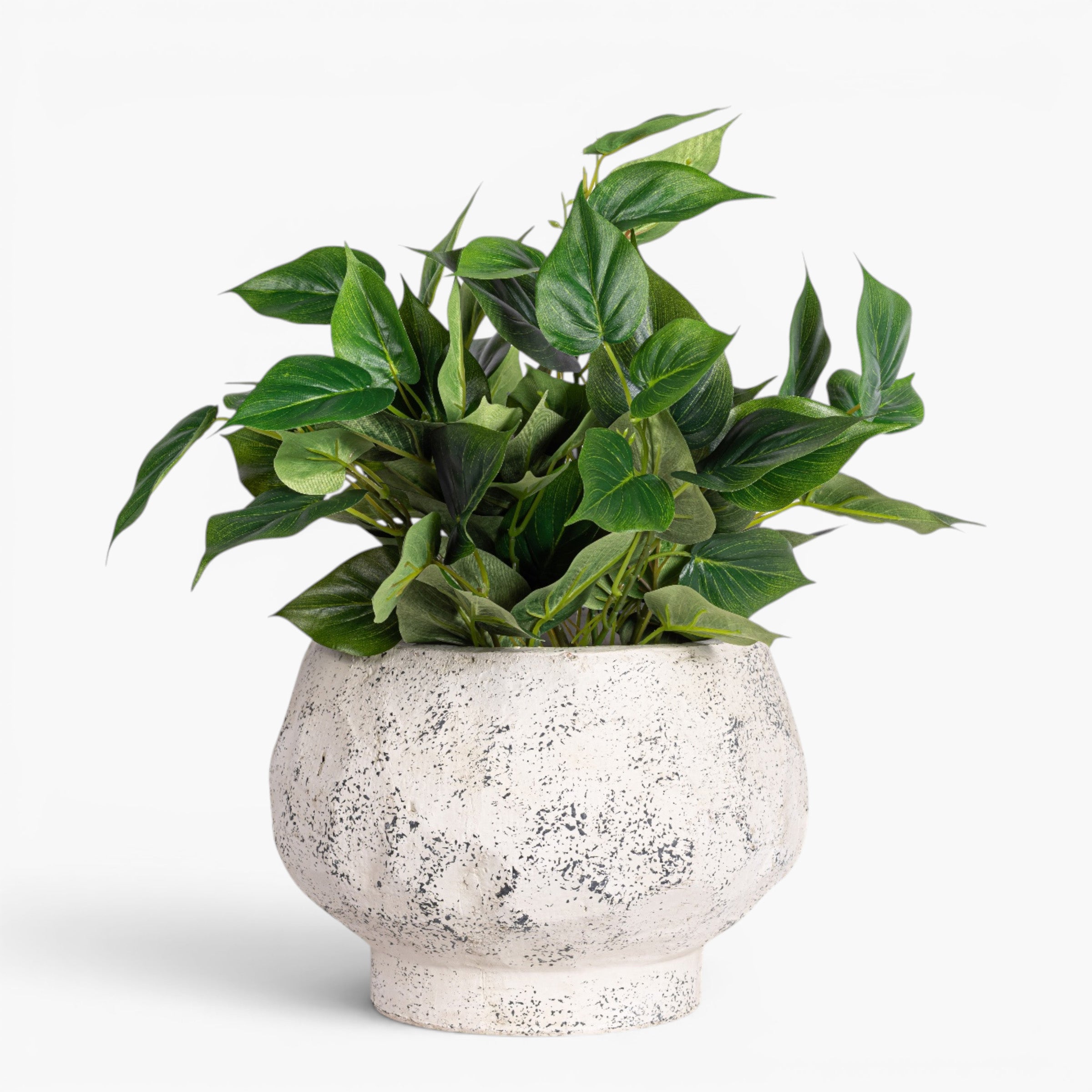 Judy Compote Pot CN1475