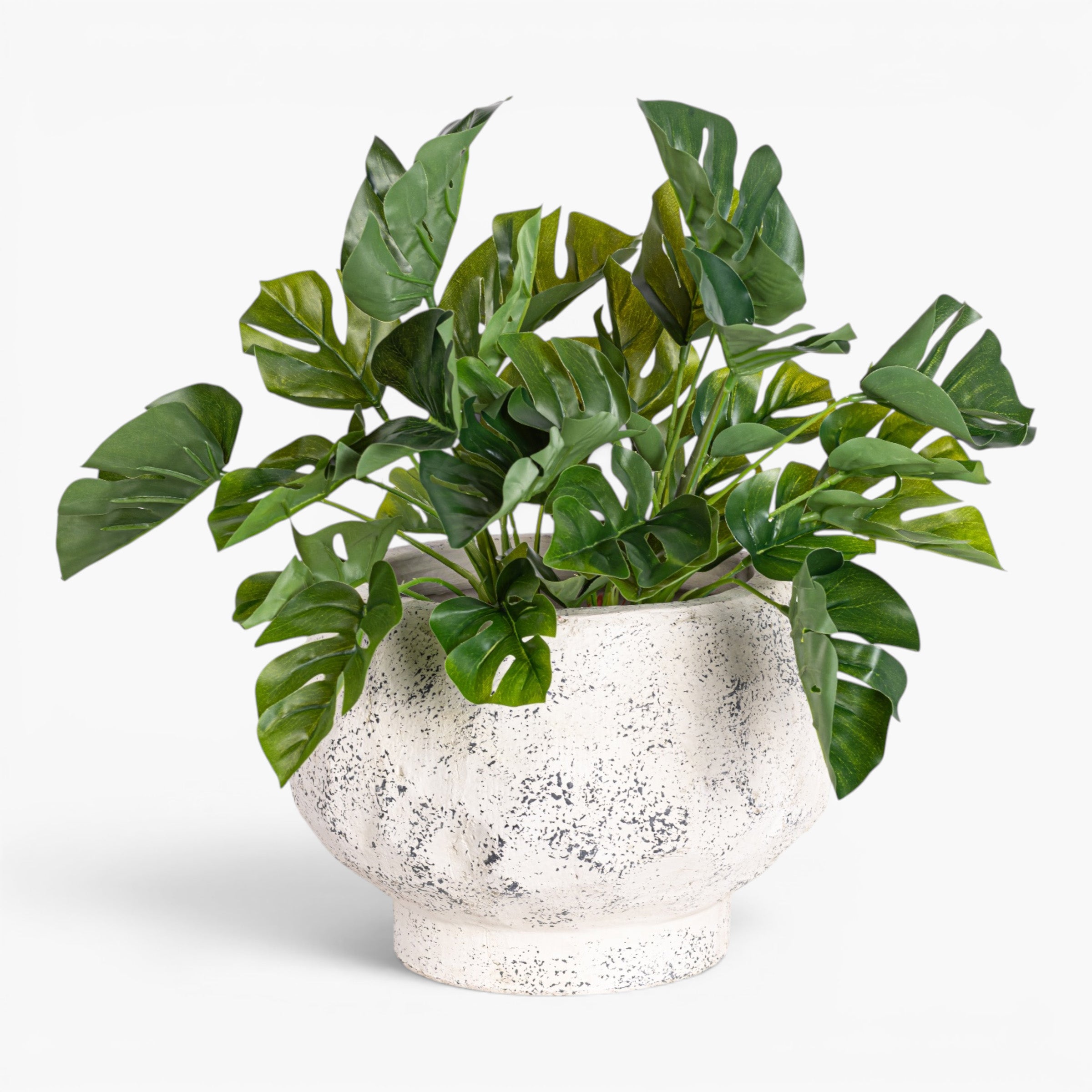 Judy Compote Pot CN1475