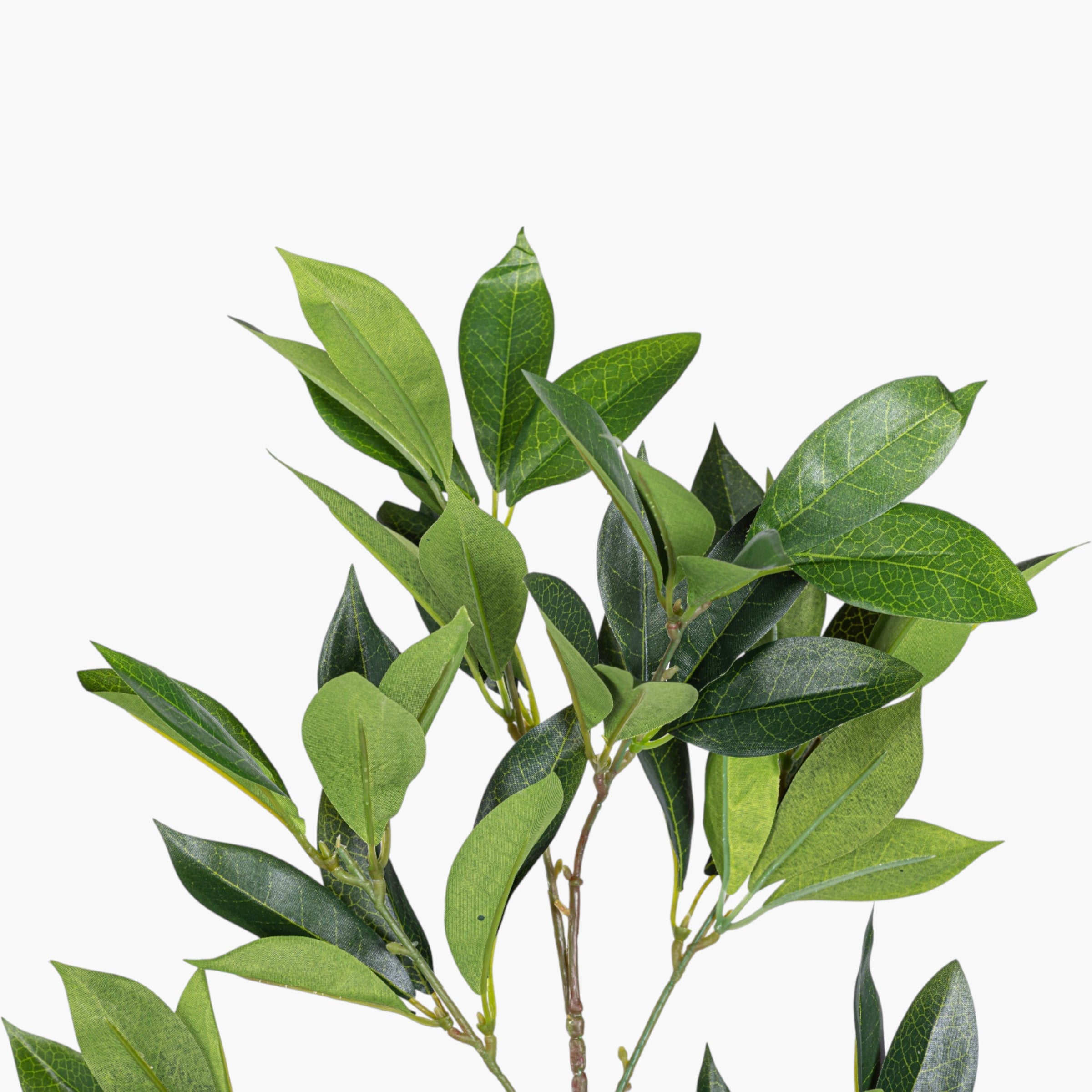 24" Bay Leaf Spray ST1257