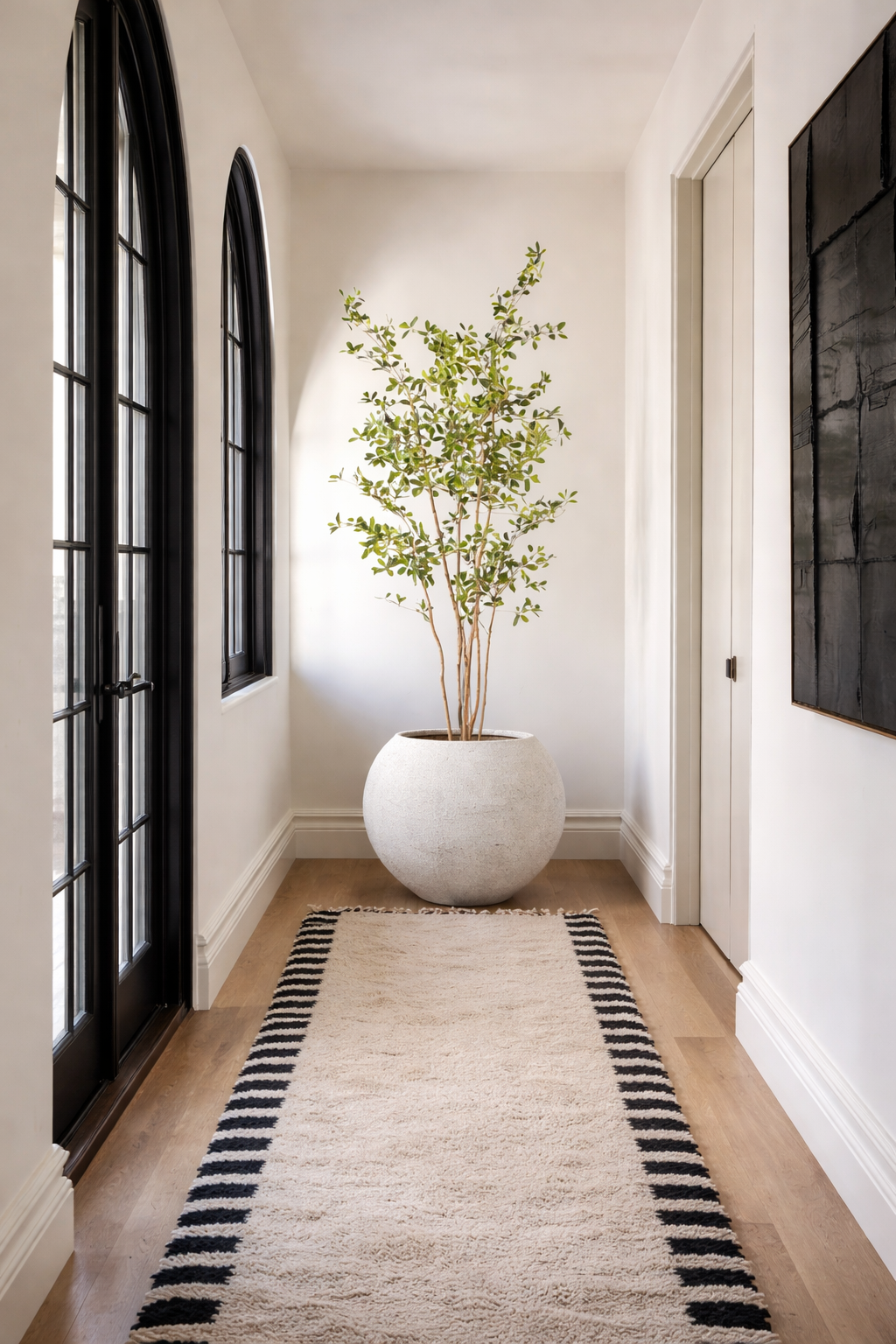 8' Black Olive Tree FP1410