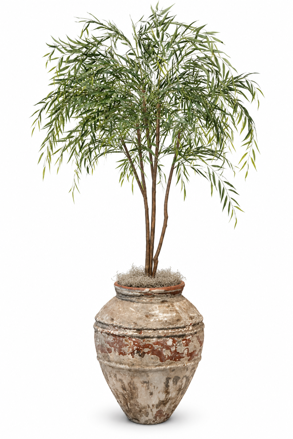 9' Weeping Willow in Kediri Planter | PC1216CN1547