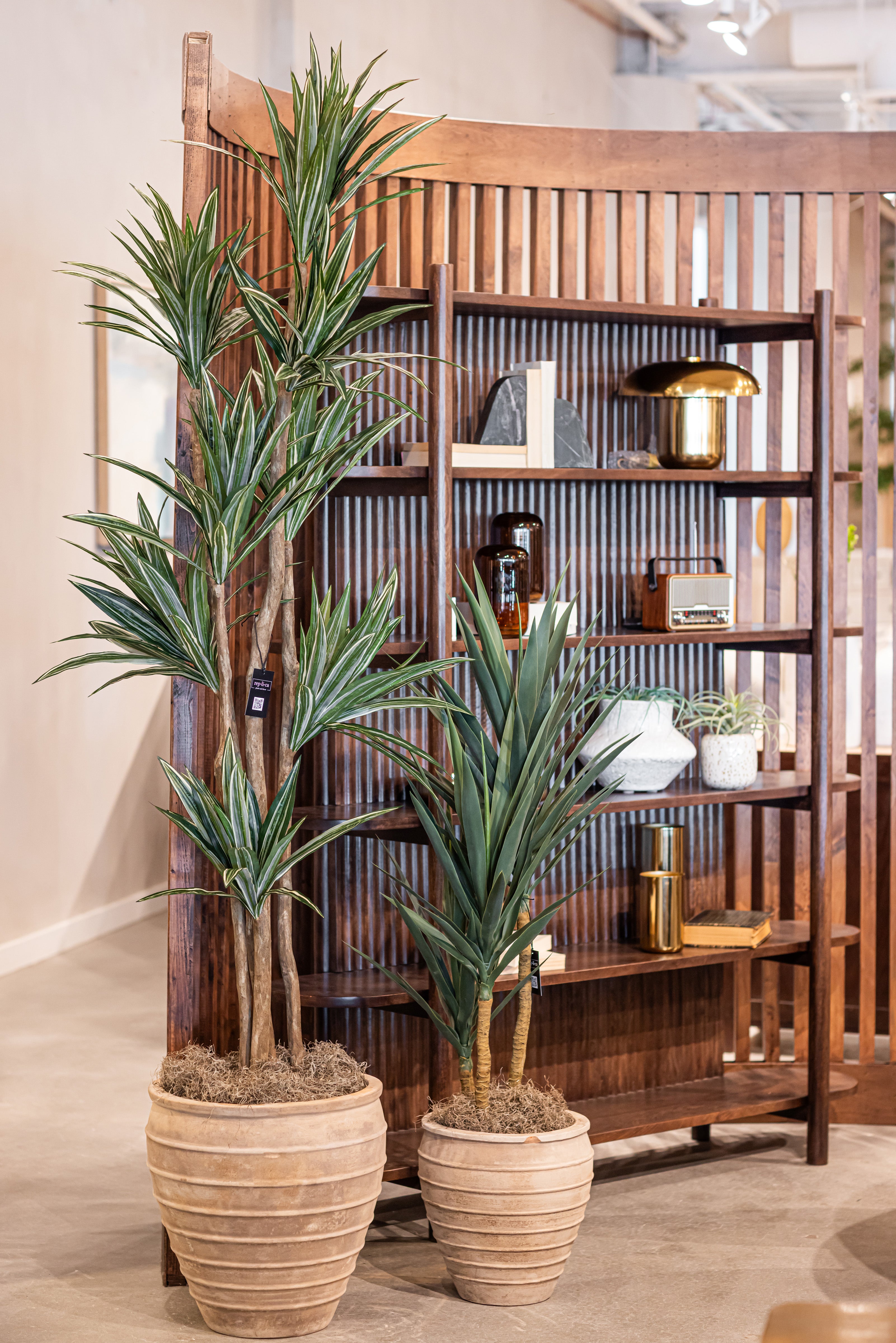 4' Yucca Tree- Green FP1105