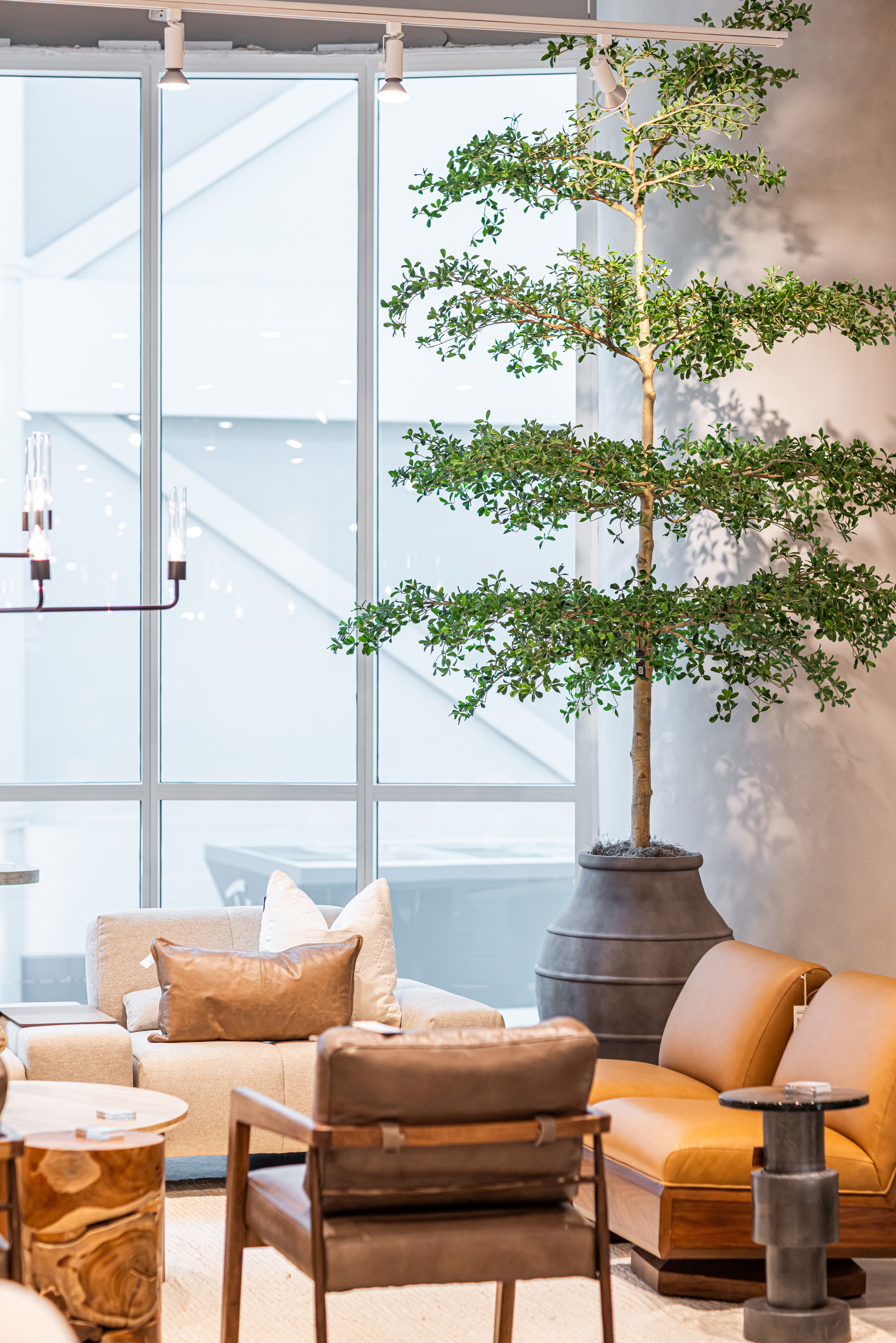 13' Shady Lady FP1465