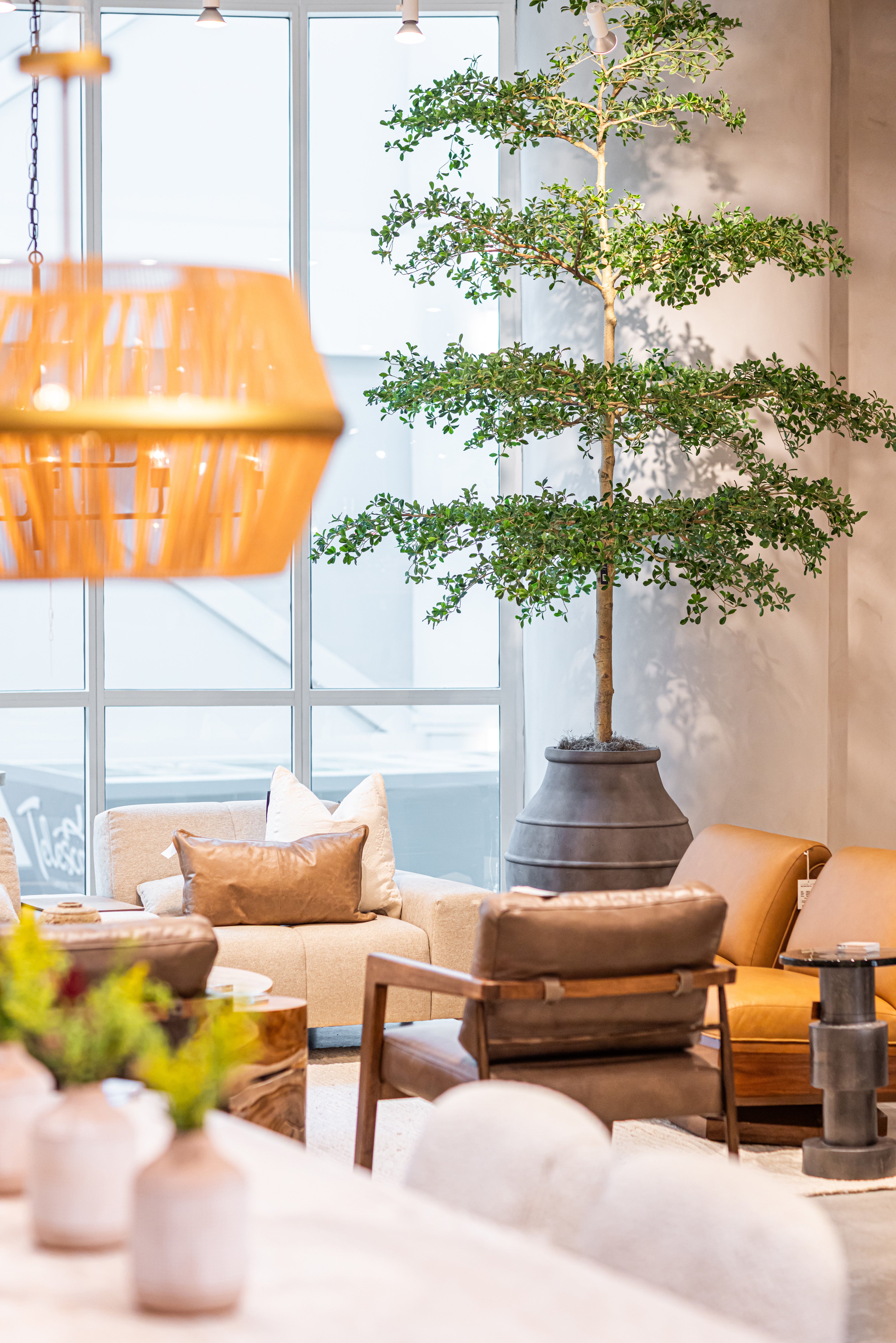 13' Shady Lady FP1465