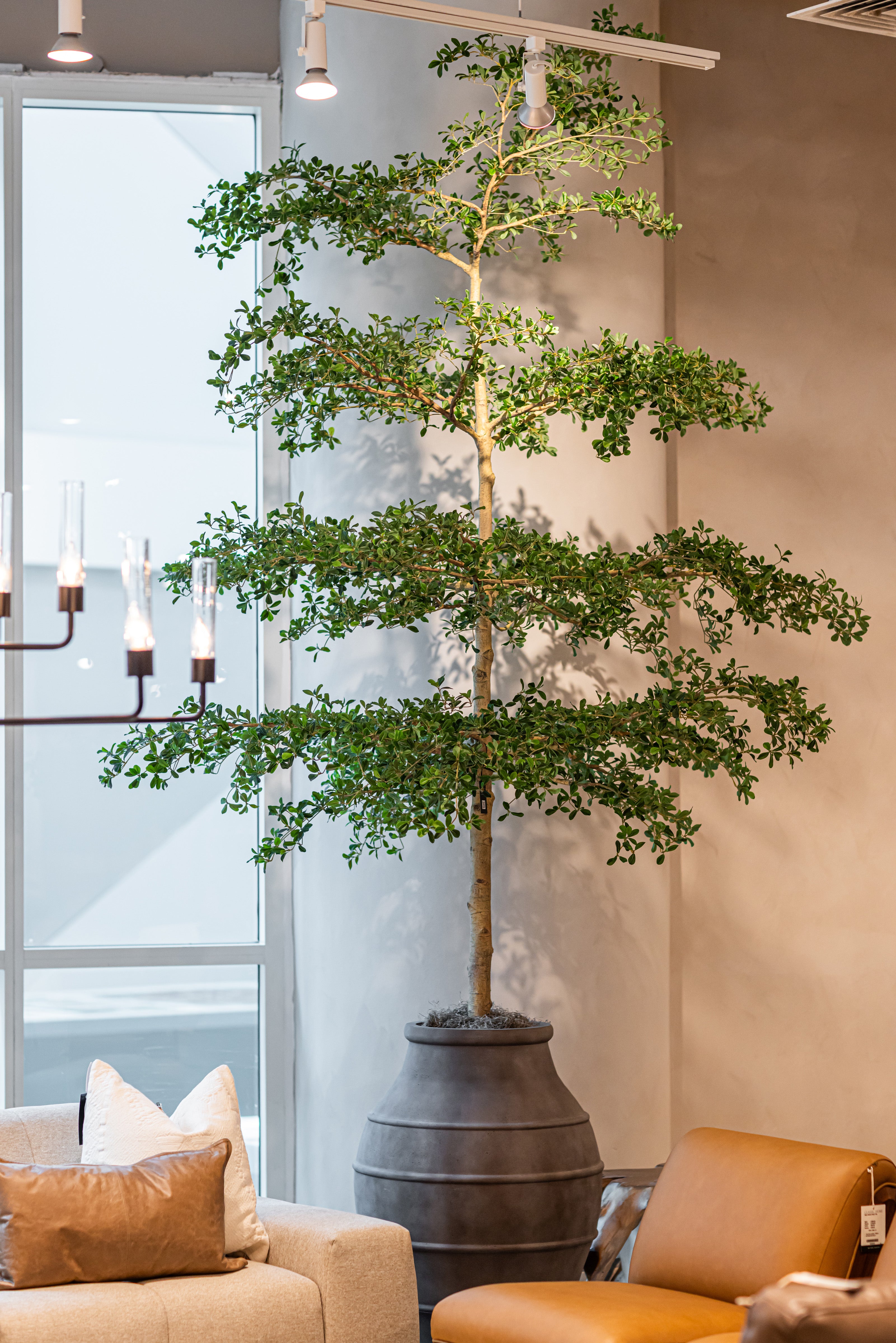 Croft Planter Collection - Antique Brown CN1338