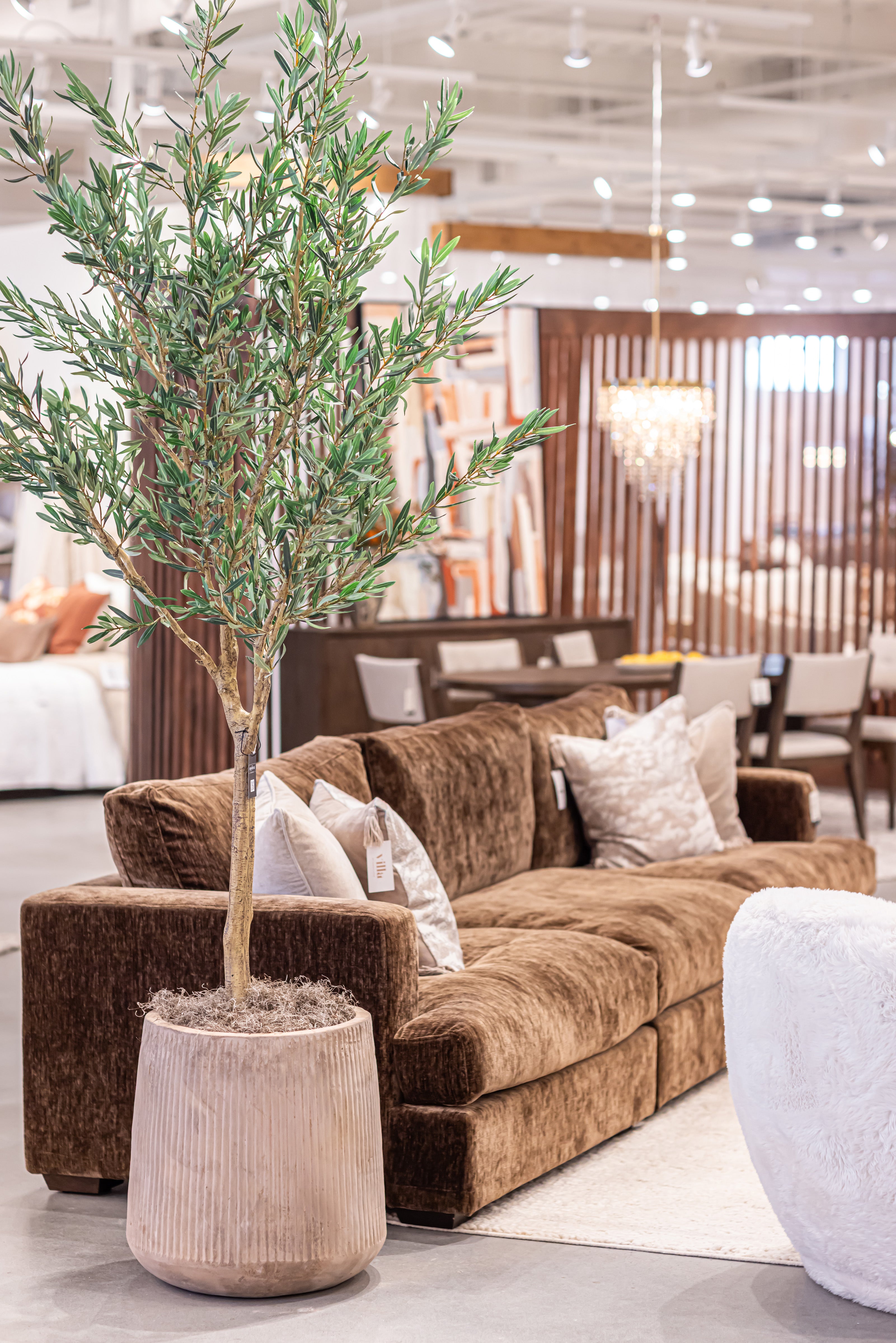 Kaden Terracotta Planter CN1308