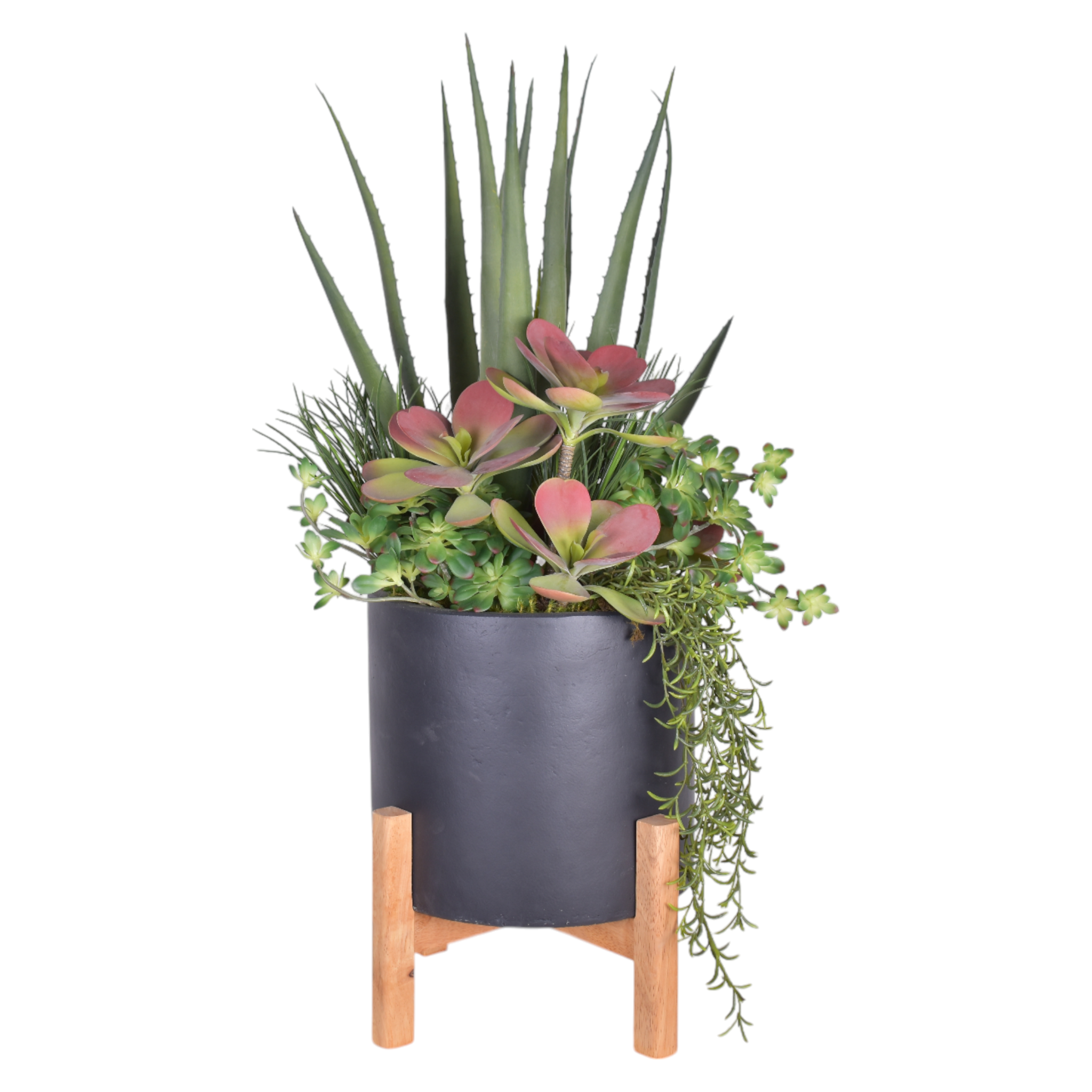 13" Korynn Planter with Aloe Arrangement AR1419