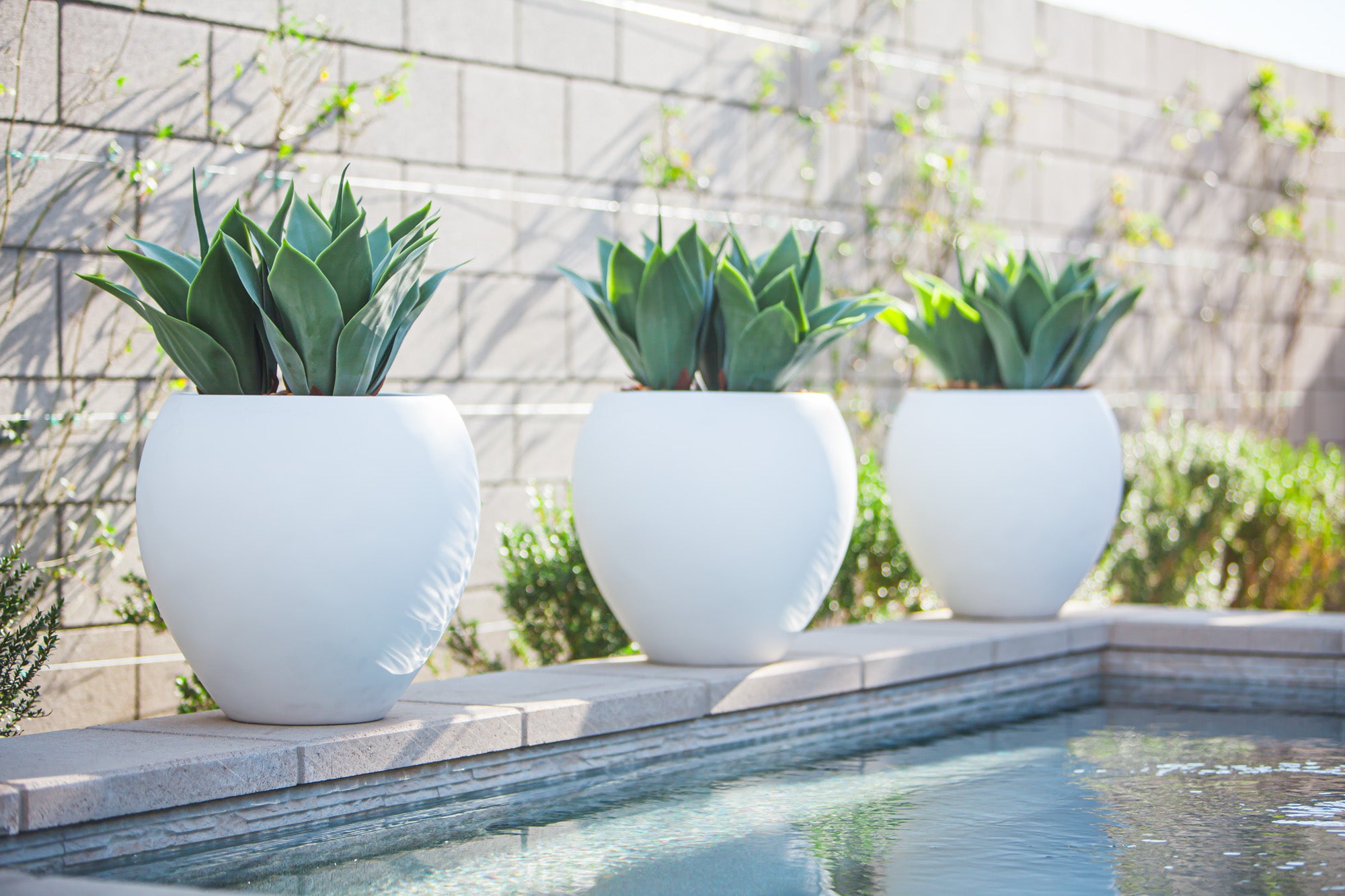 17" White Rotondo Planter with UV Protected Aloes AR1844UV