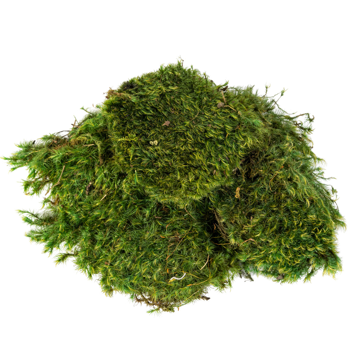Mood Moss 5lb Bag FA1008