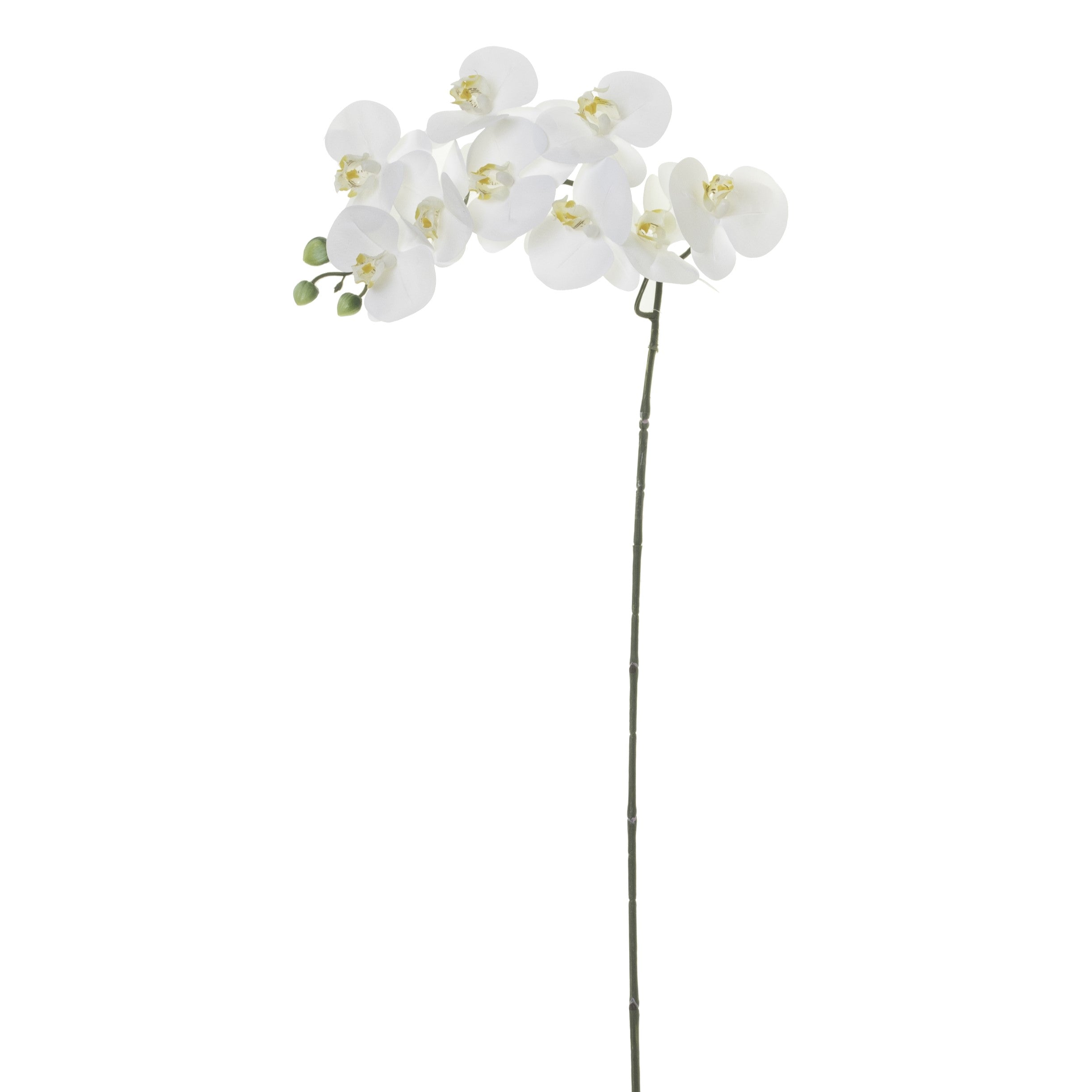 39" Real Touch Phalaenopsis- White FL1021