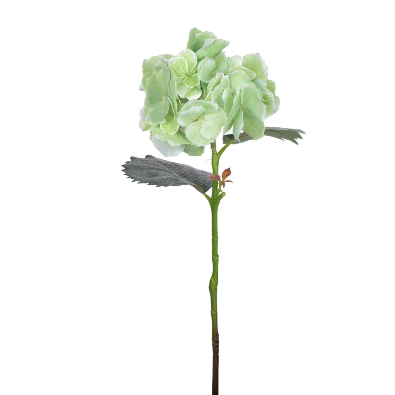 26" Green Hydrangea Stem FL1052